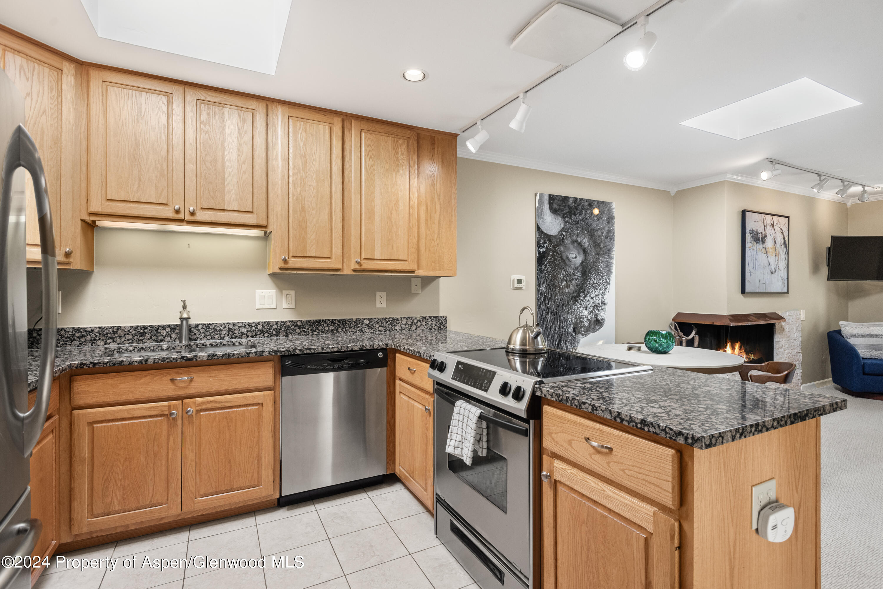 210 E Cooper Avenue Aspen CO 81611