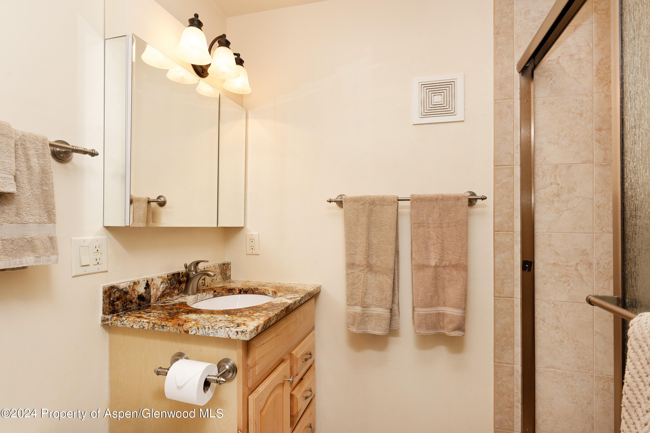 210 E Cooper Avenue Aspen CO 81611