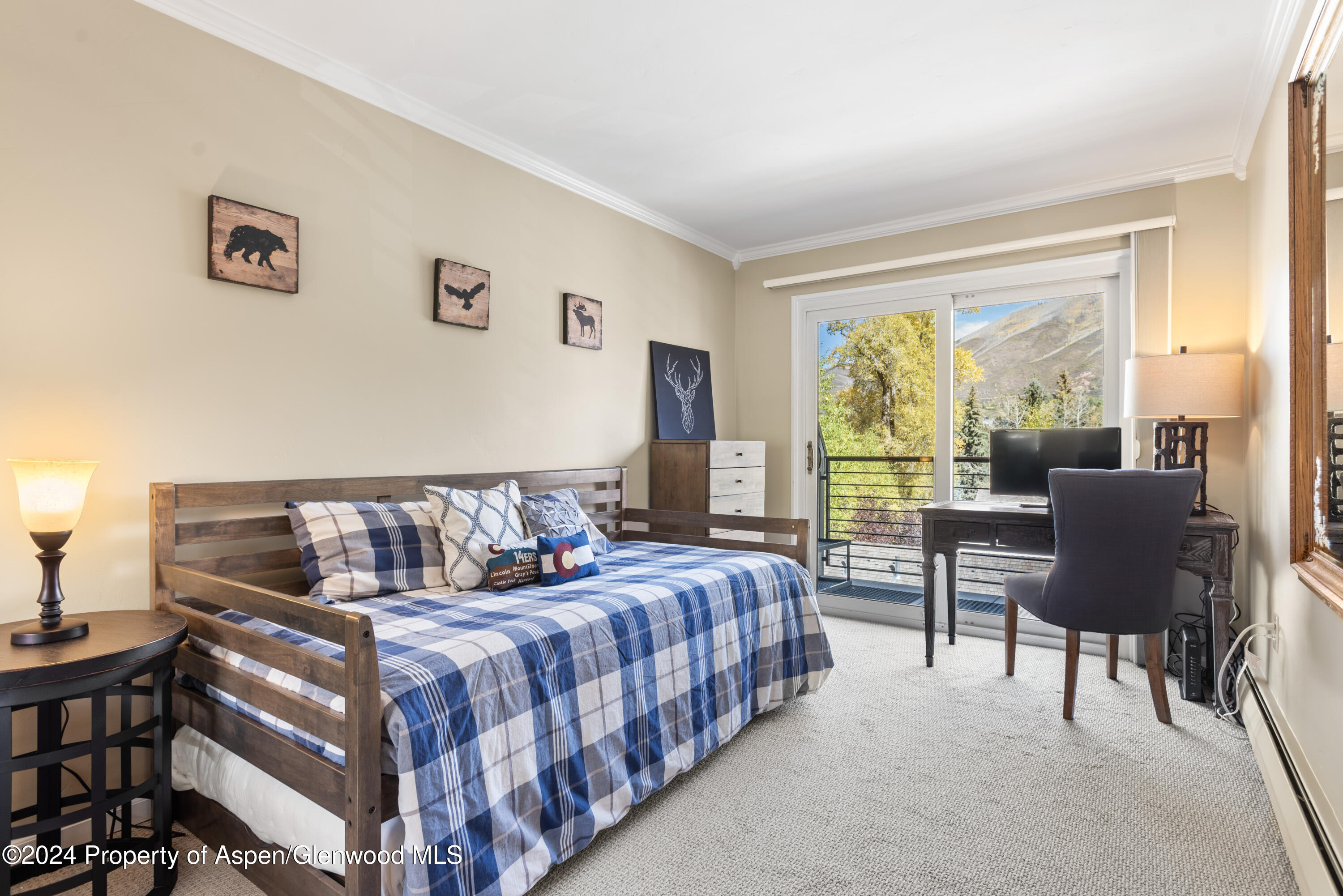 210 E Cooper Avenue Aspen CO 81611