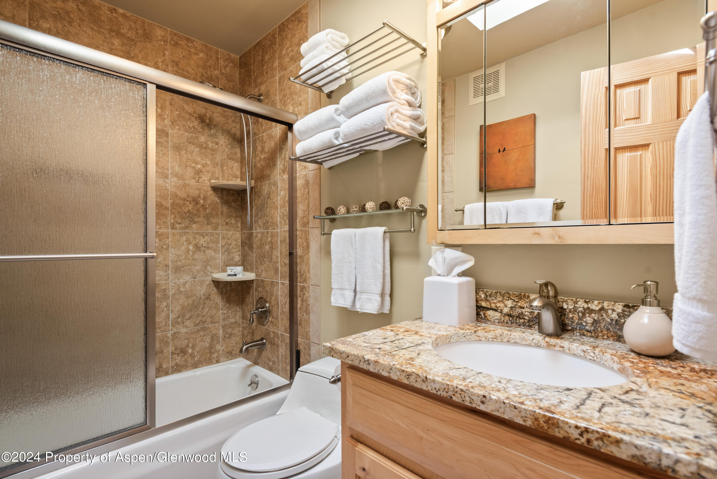 210 E Cooper Avenue Aspen CO 81611