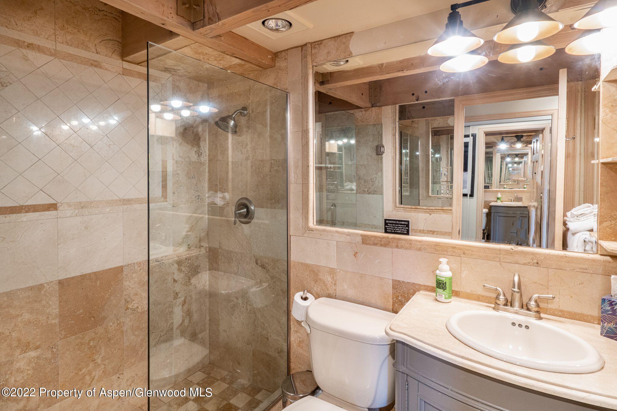 731 E Durant Avenue Aspen CO 81611