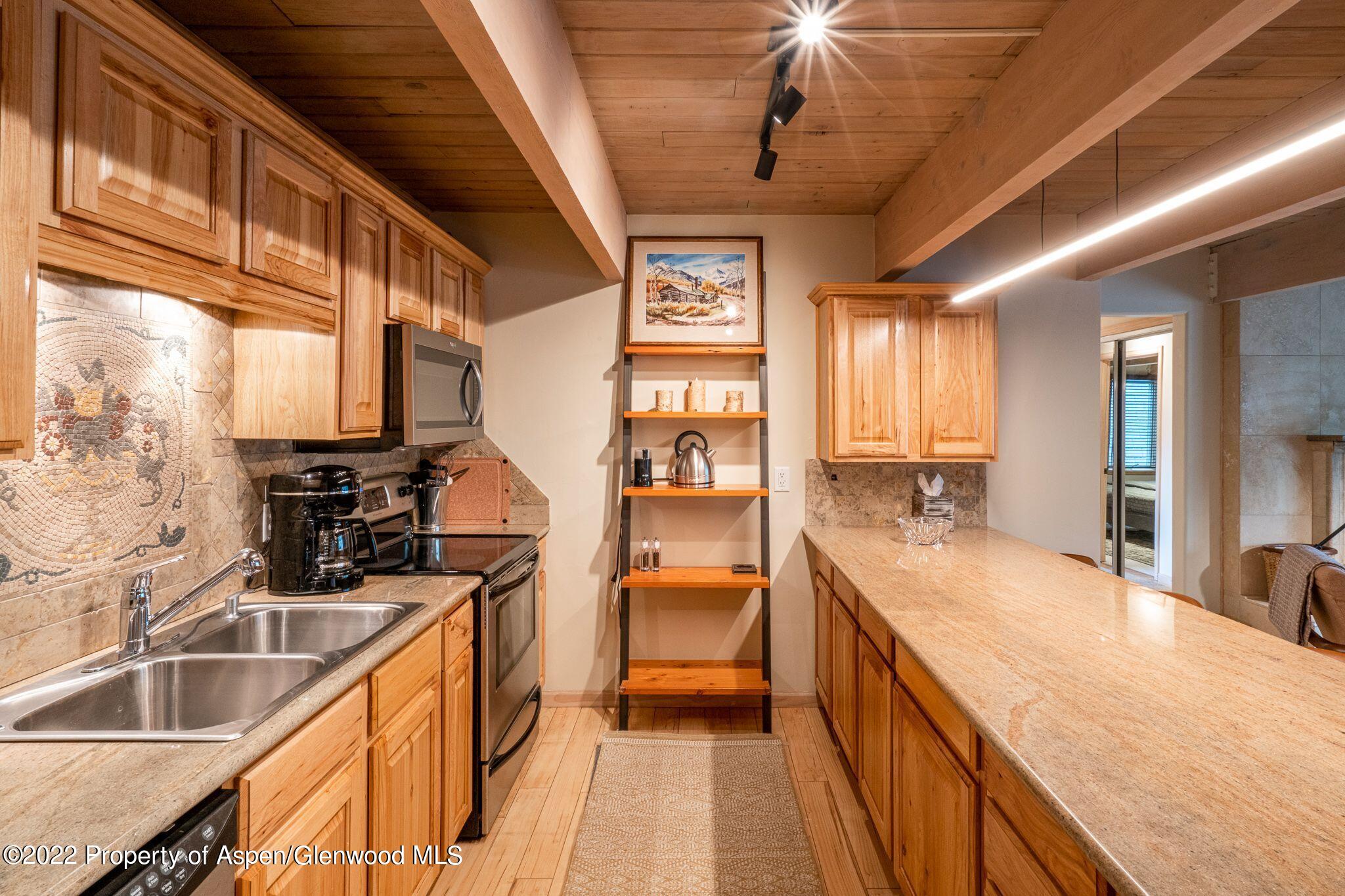 731 E Durant Avenue Aspen CO 81611