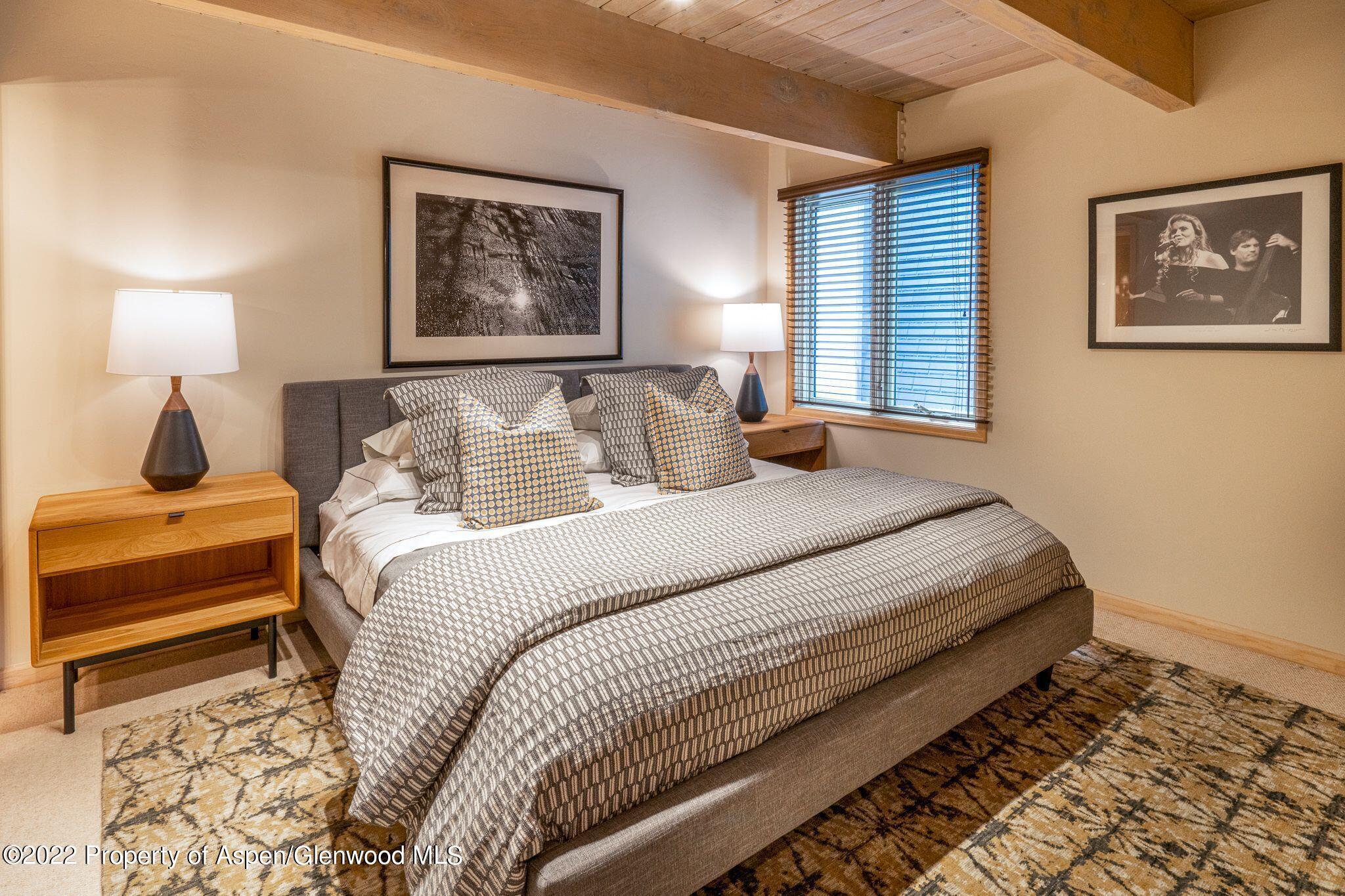 731 E Durant Avenue Aspen CO 81611