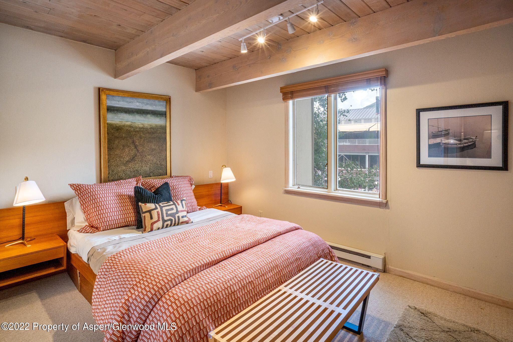 731 E Durant Avenue Aspen CO 81611