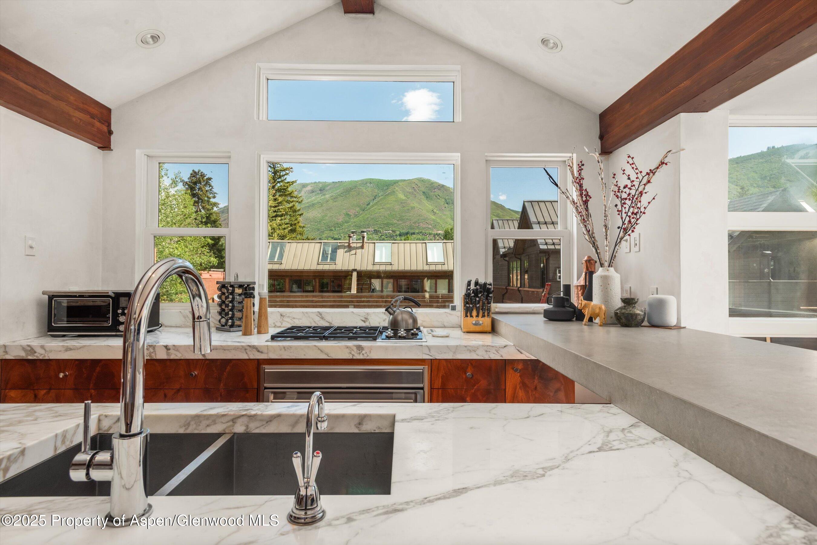 706 E Hyman Avenue Aspen CO 81611