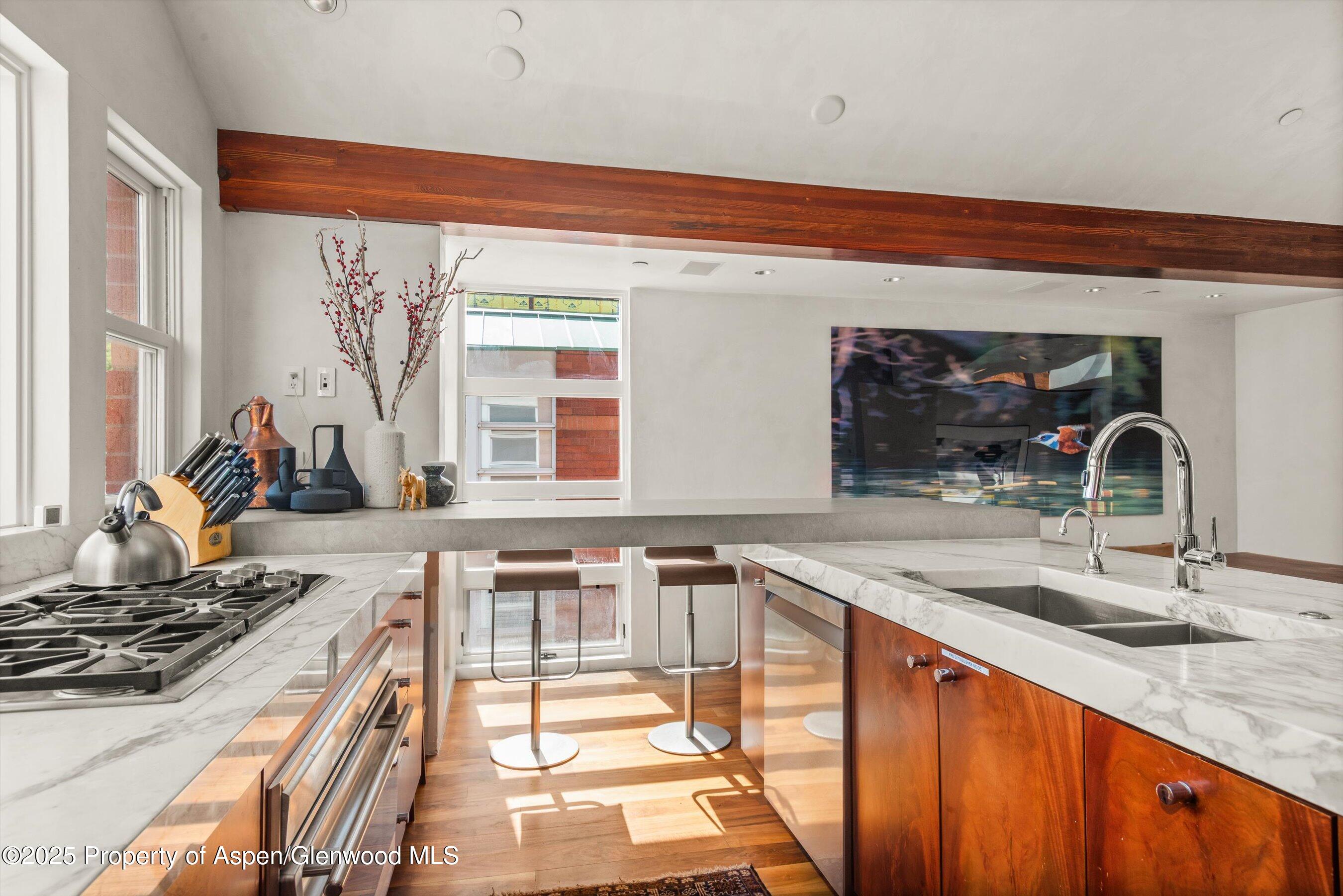 706 E Hyman Avenue Aspen CO 81611