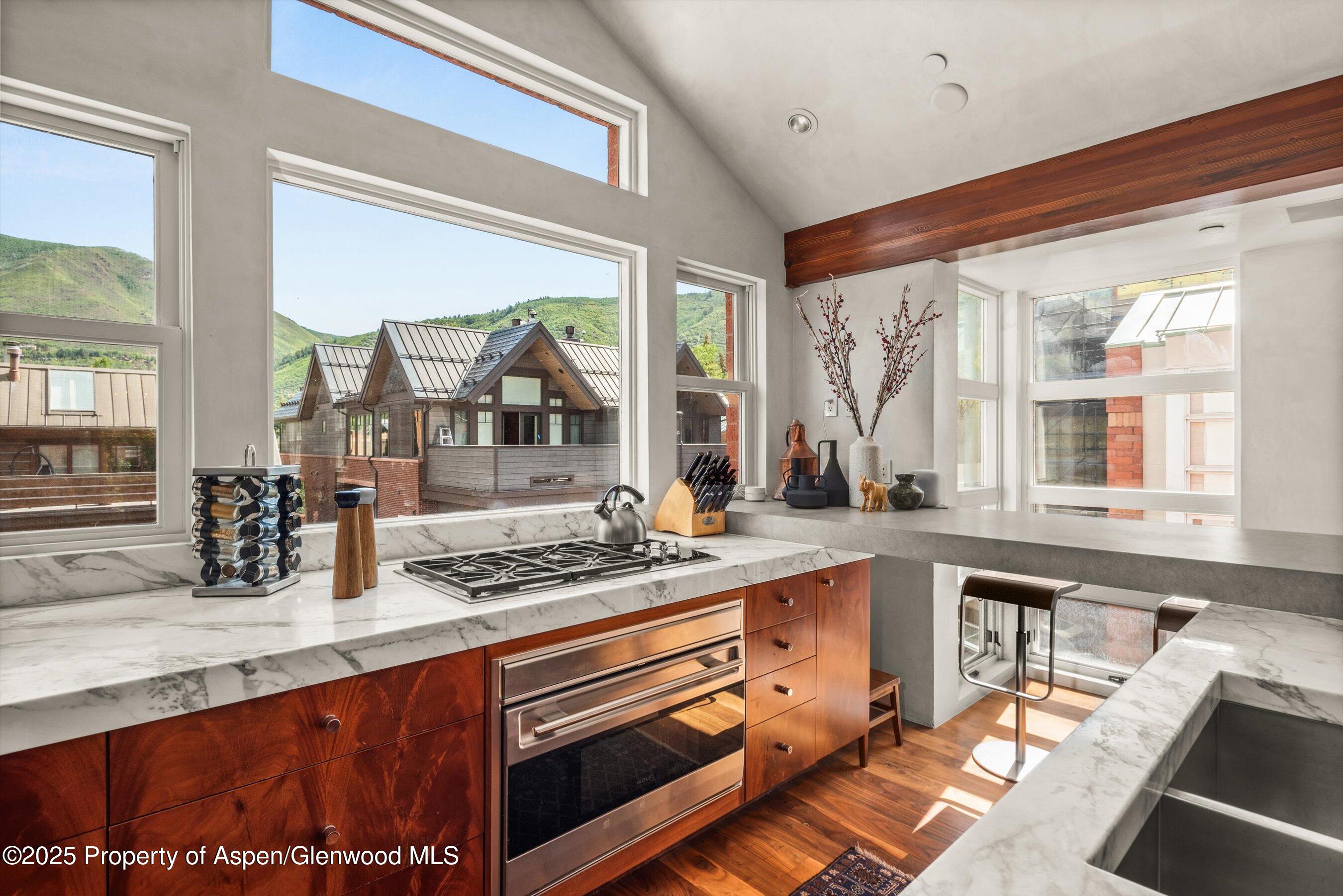 706 E Hyman Avenue Aspen CO 81611