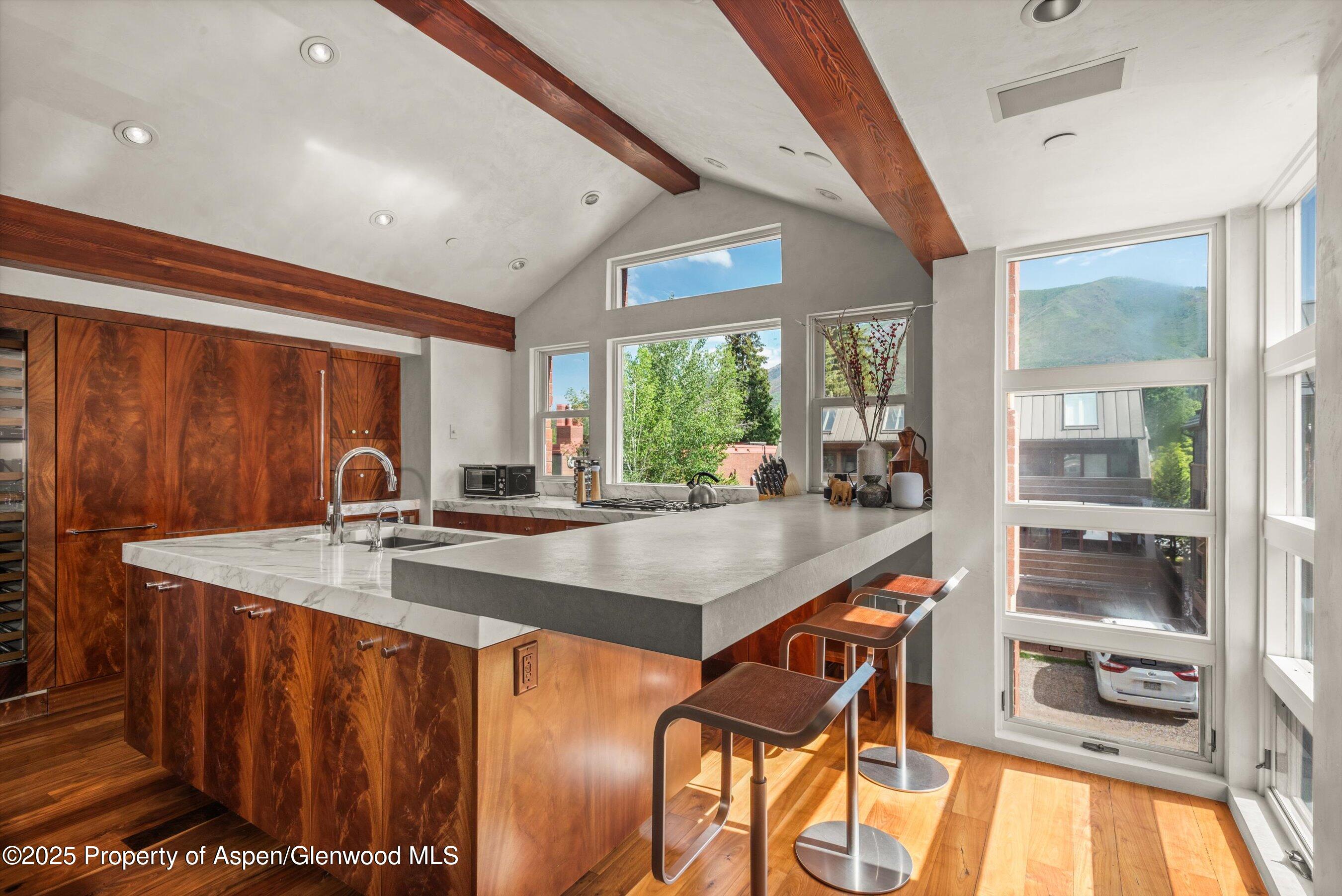 706 E Hyman Avenue Aspen CO 81611