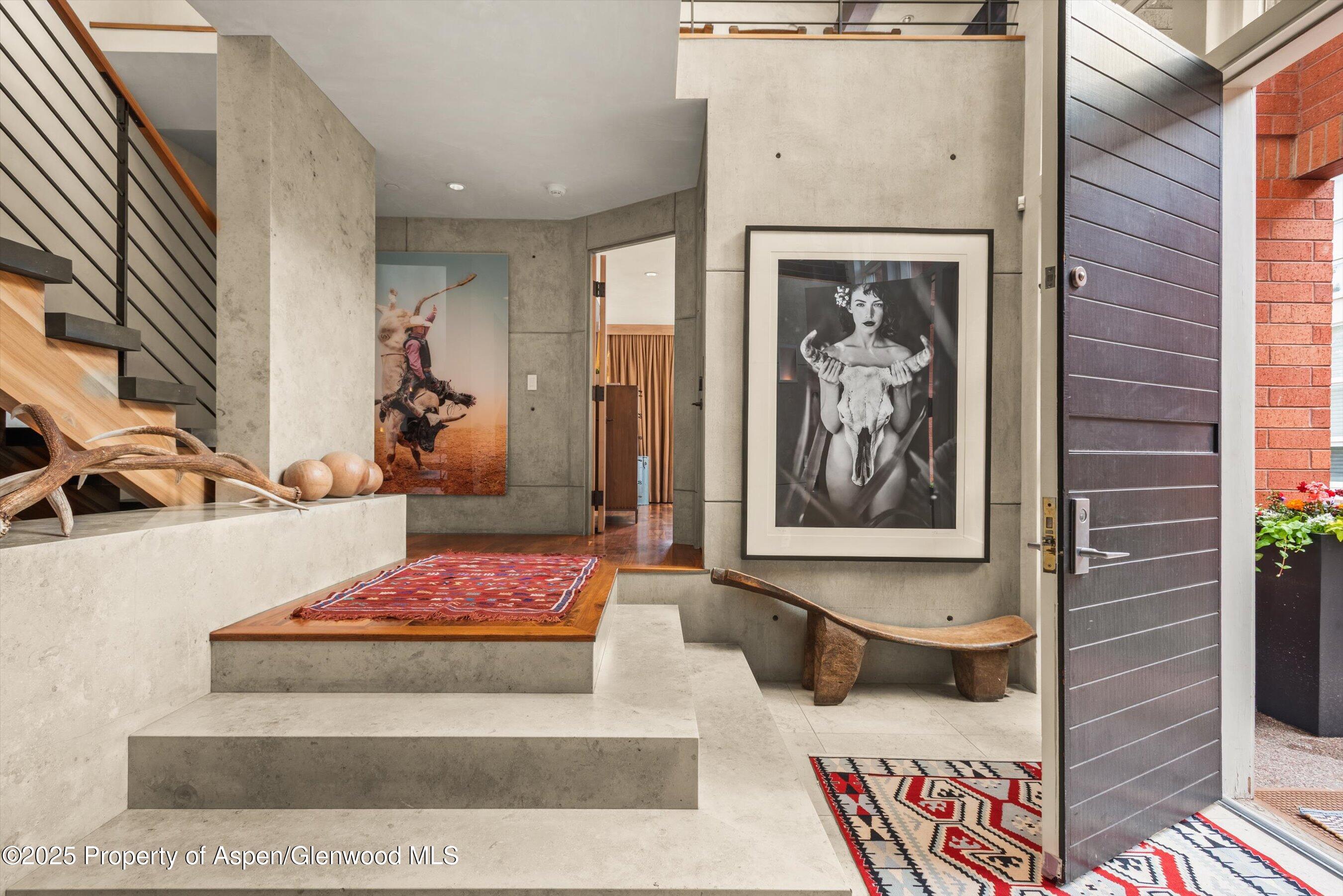 706 E Hyman Avenue Aspen CO 81611