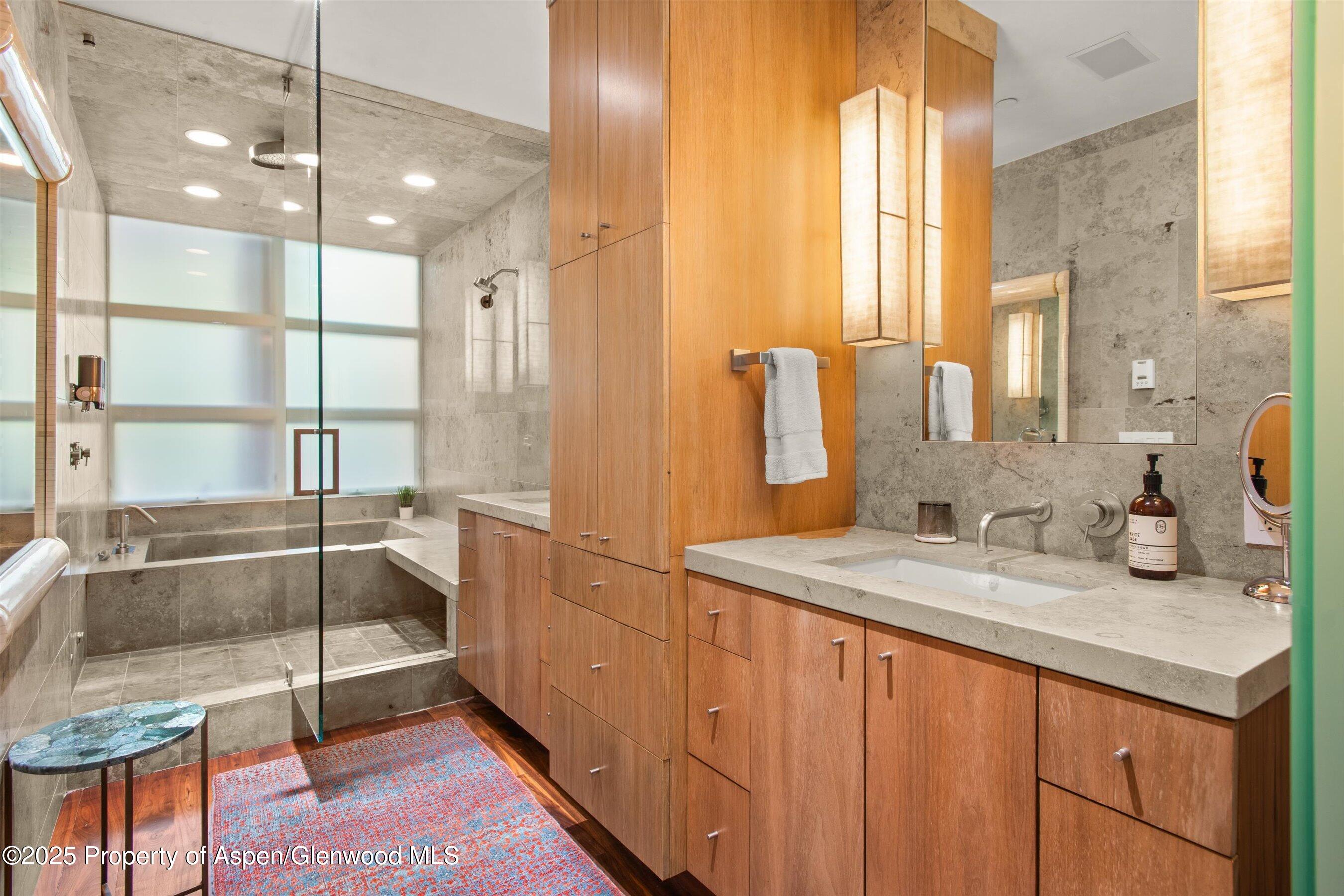 706 E Hyman Avenue Aspen CO 81611