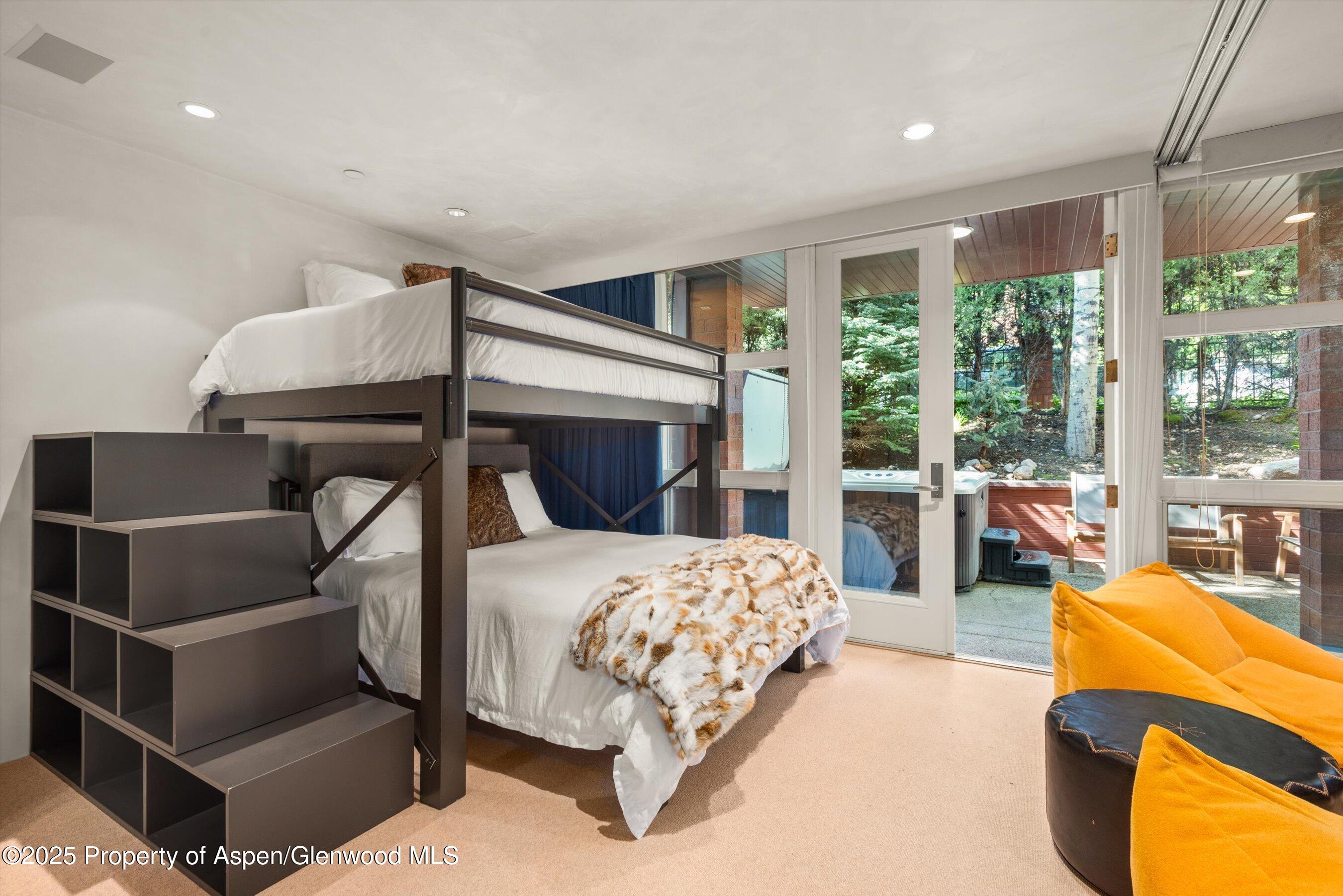 706 E Hyman Avenue Aspen CO 81611