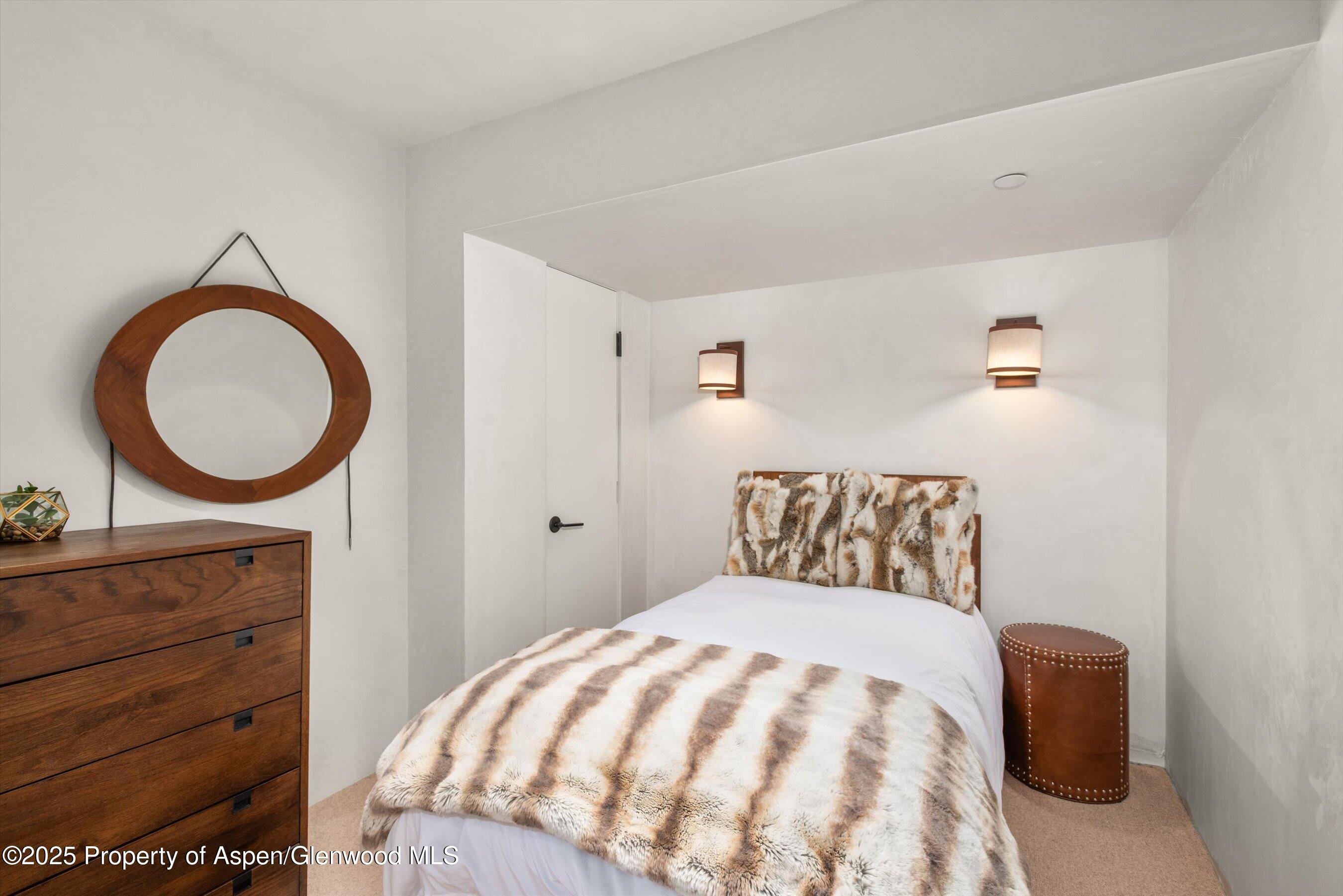 706 E Hyman Avenue Aspen CO 81611