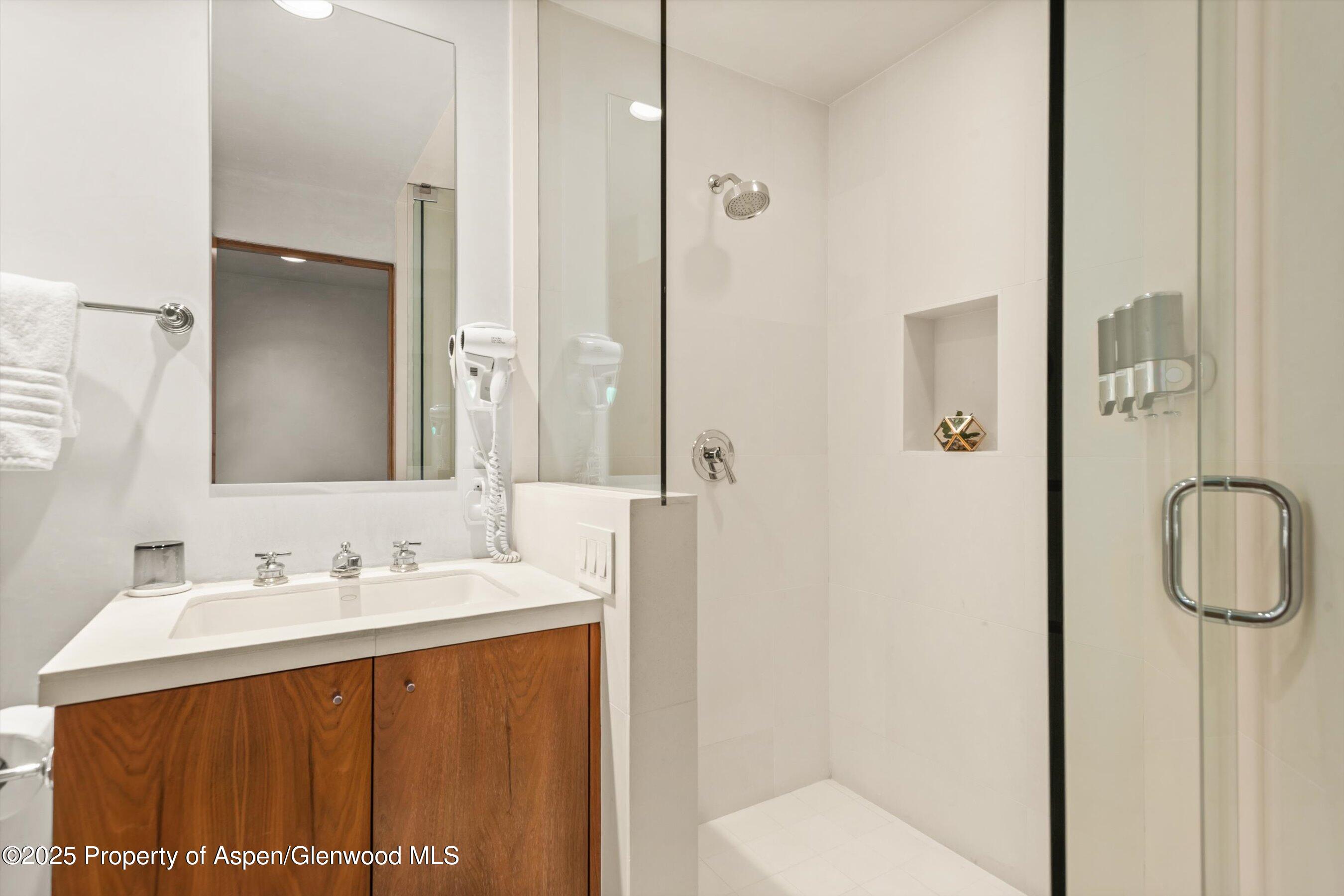 706 E Hyman Avenue Aspen CO 81611