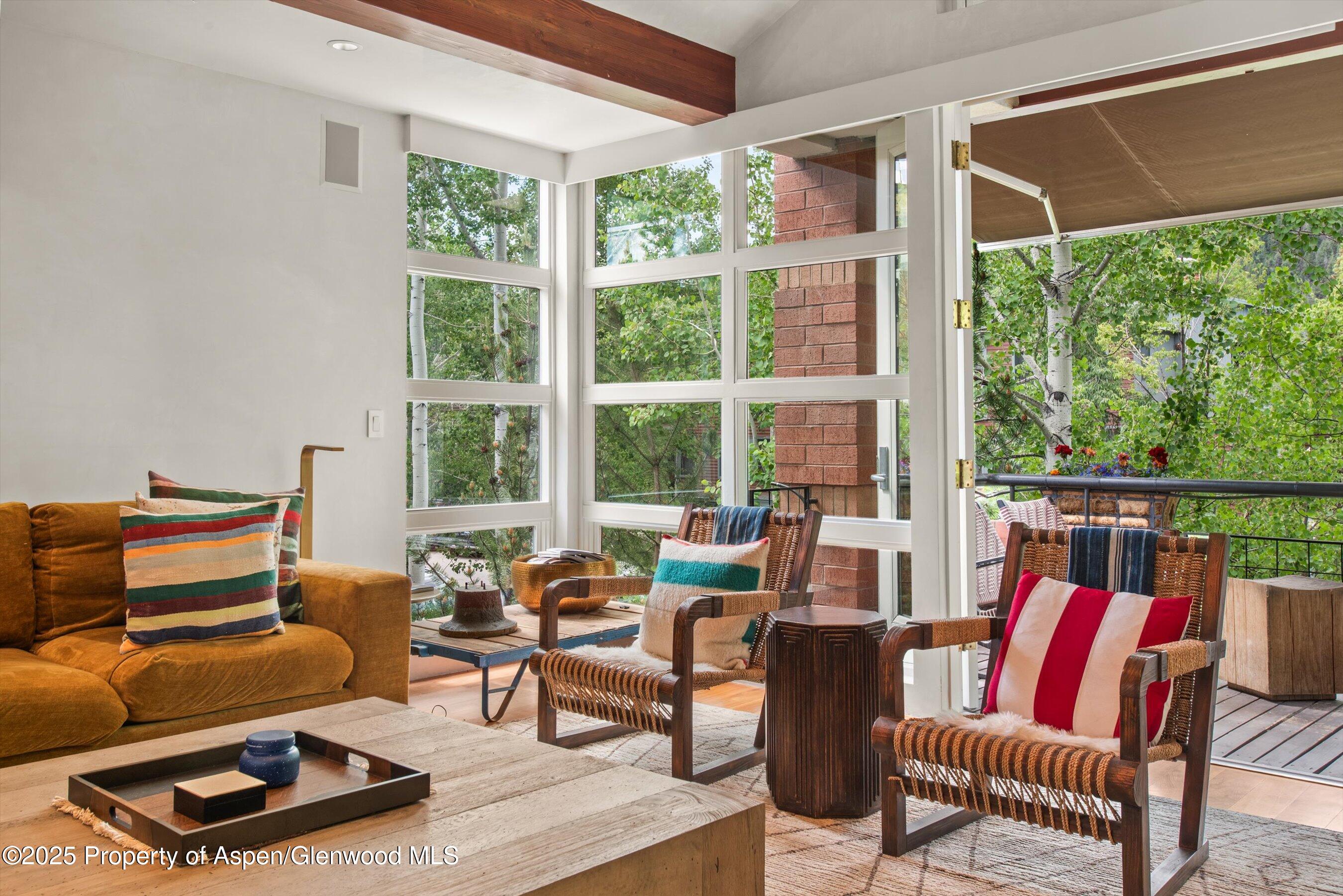 706 E Hyman Avenue Aspen CO 81611