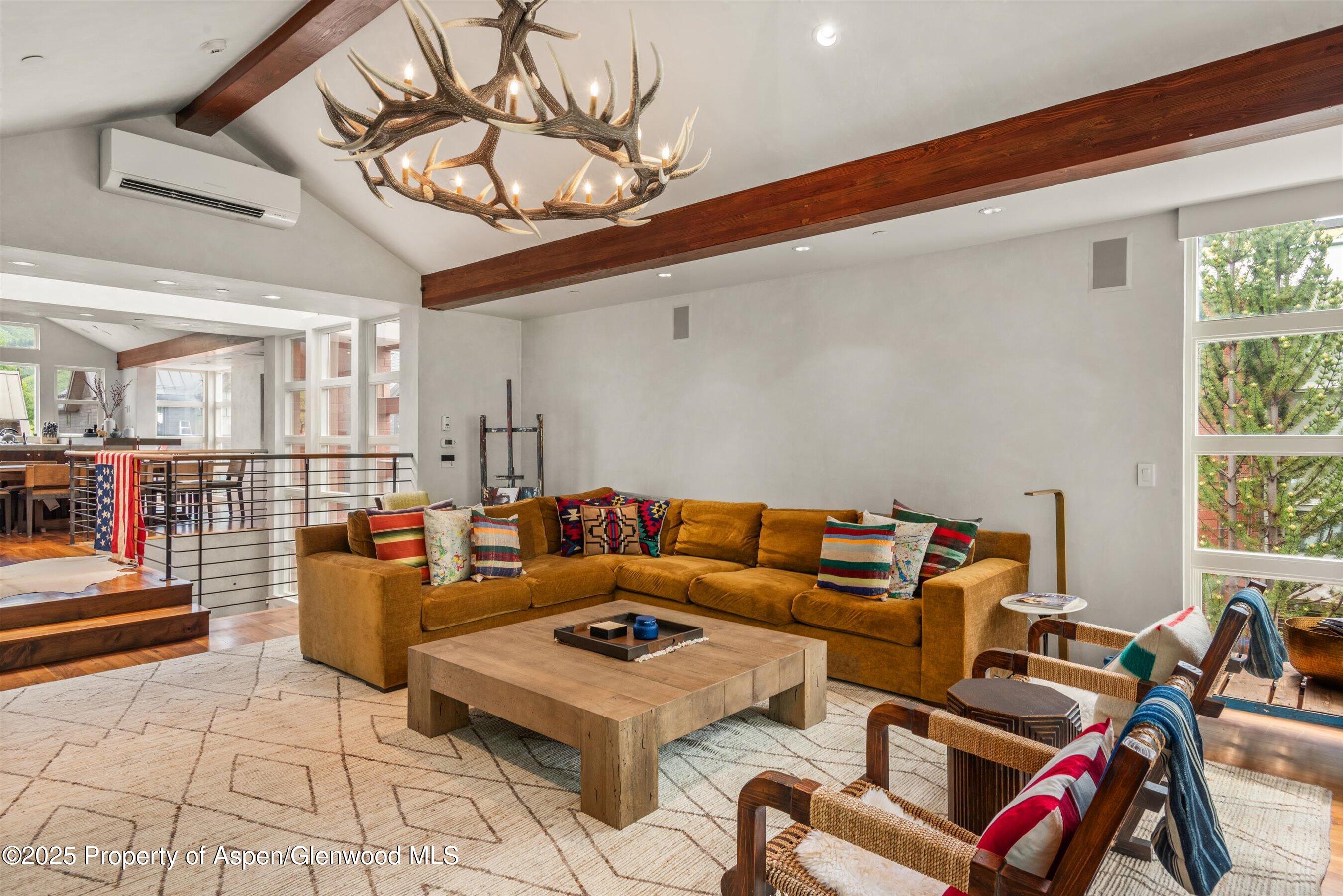 706 E Hyman Avenue Aspen CO 81611