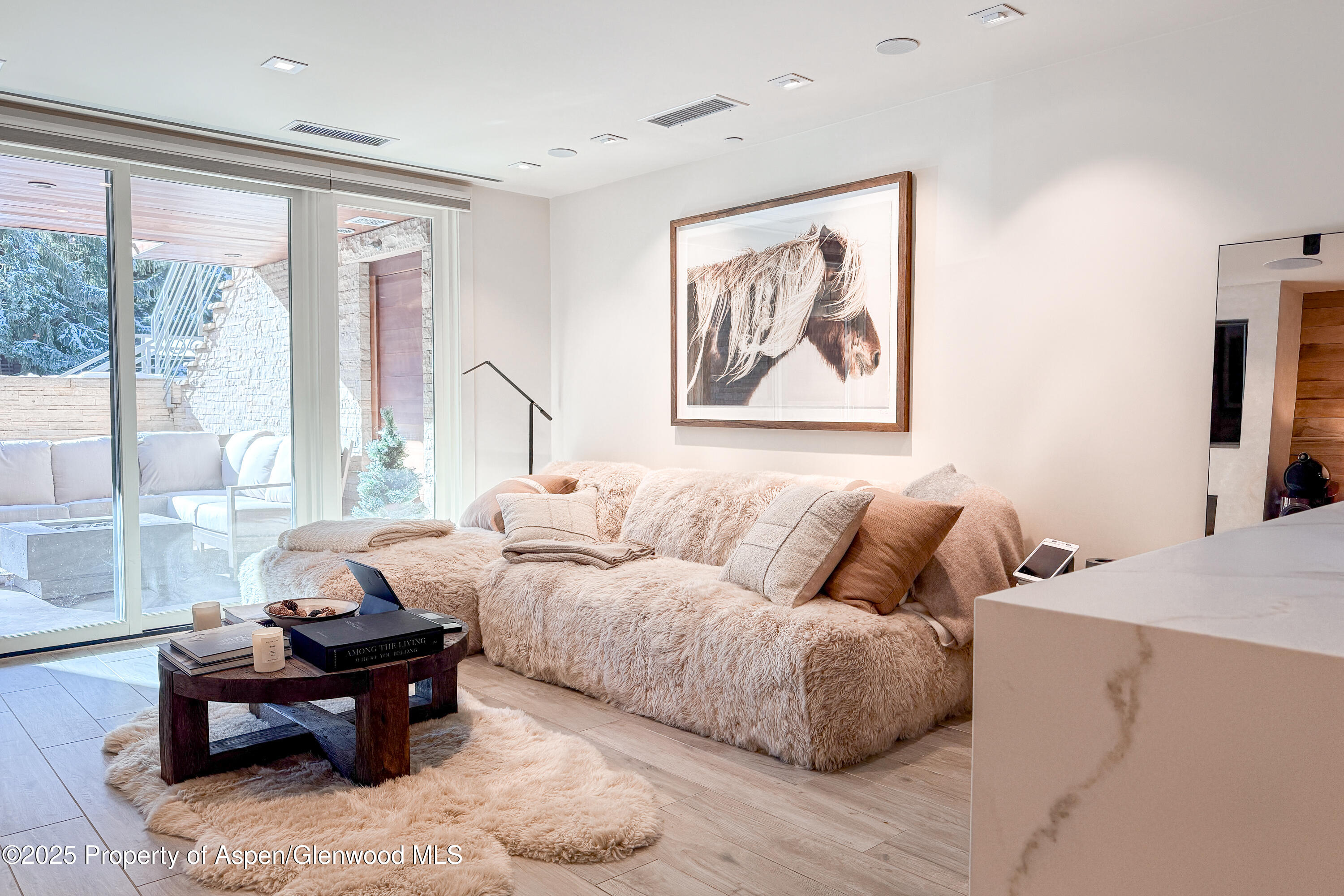 100 E Cooper Avenue Aspen CO 81611