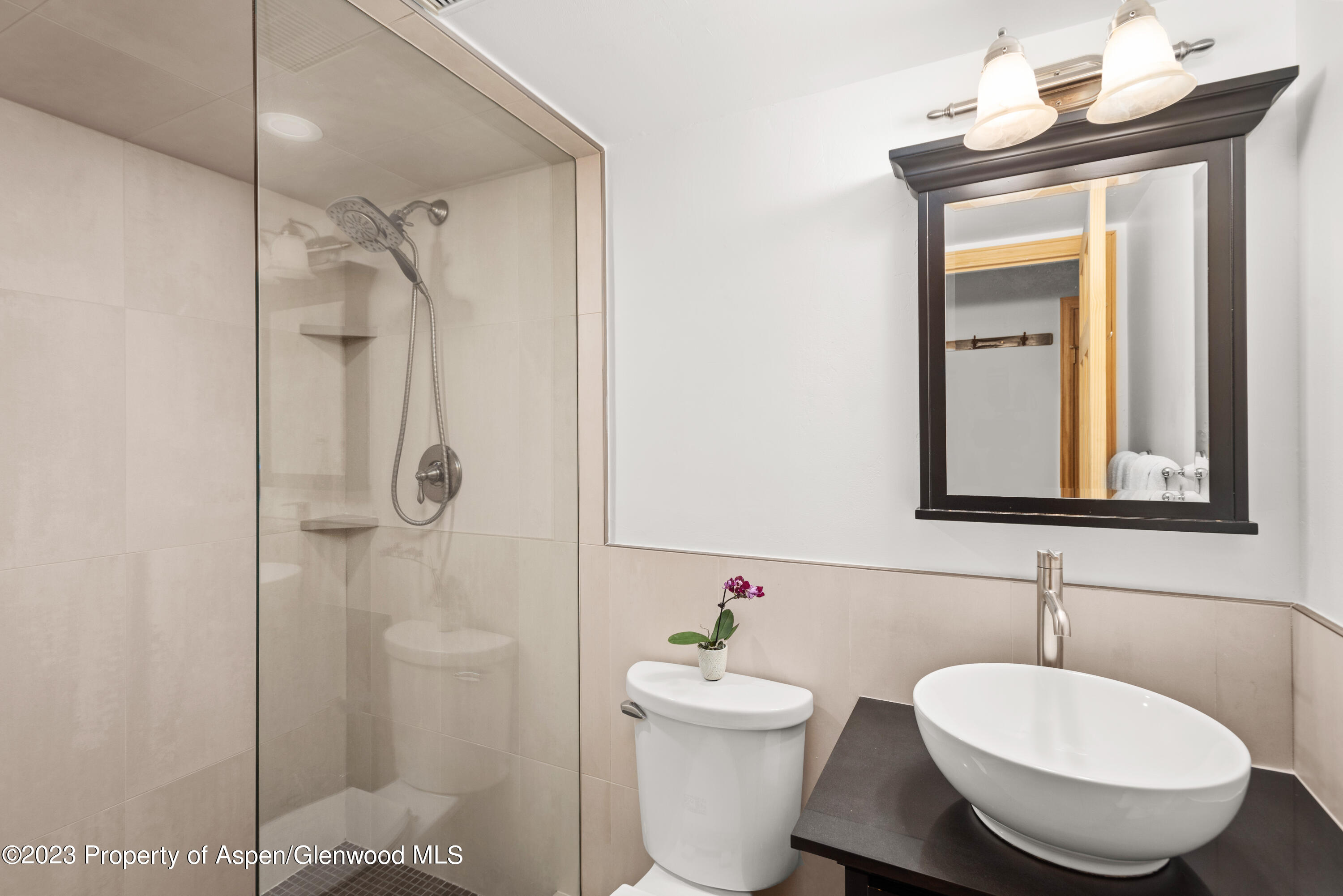 630 E Cooper Aspen CO 81611