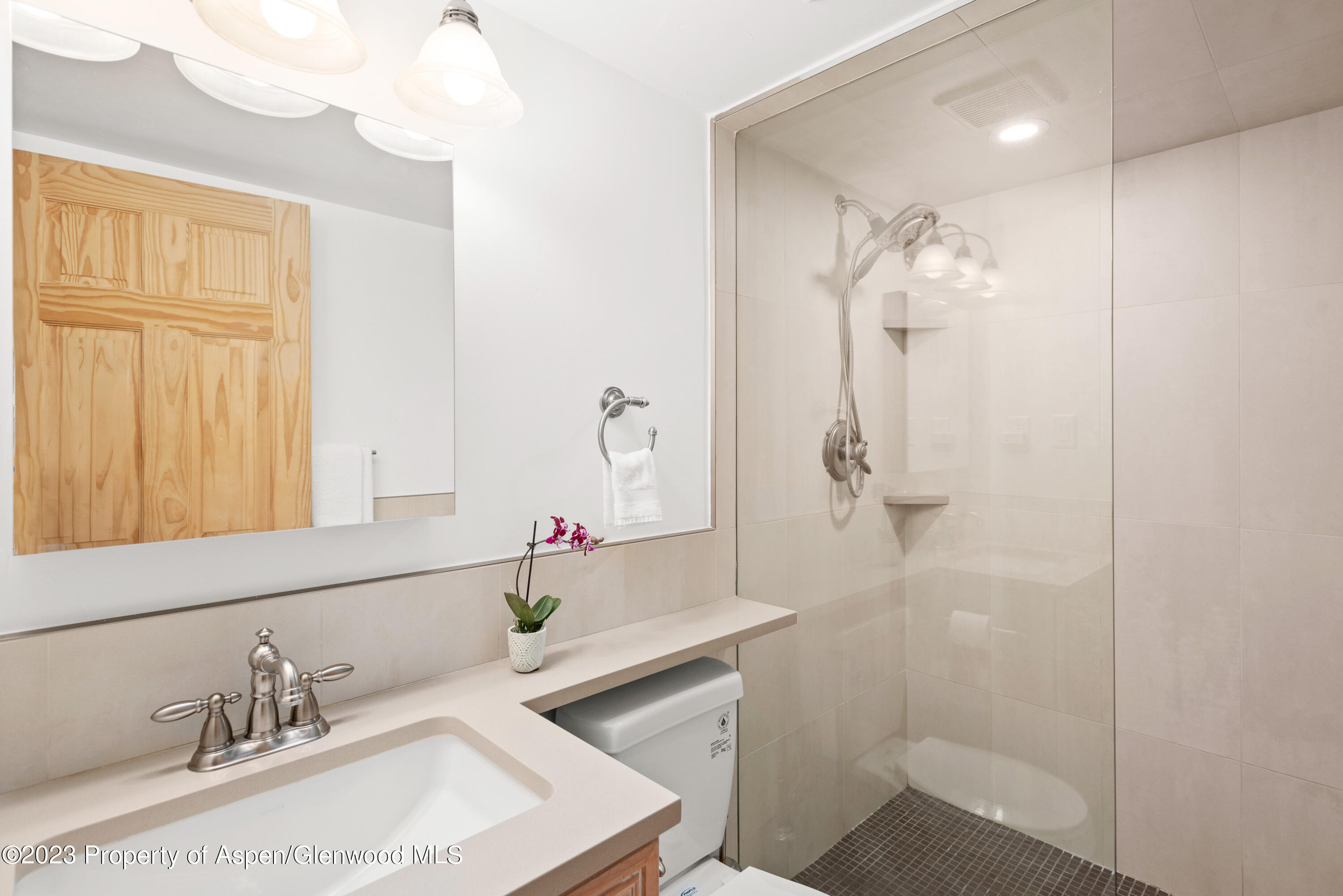 630 E Cooper Aspen CO 81611