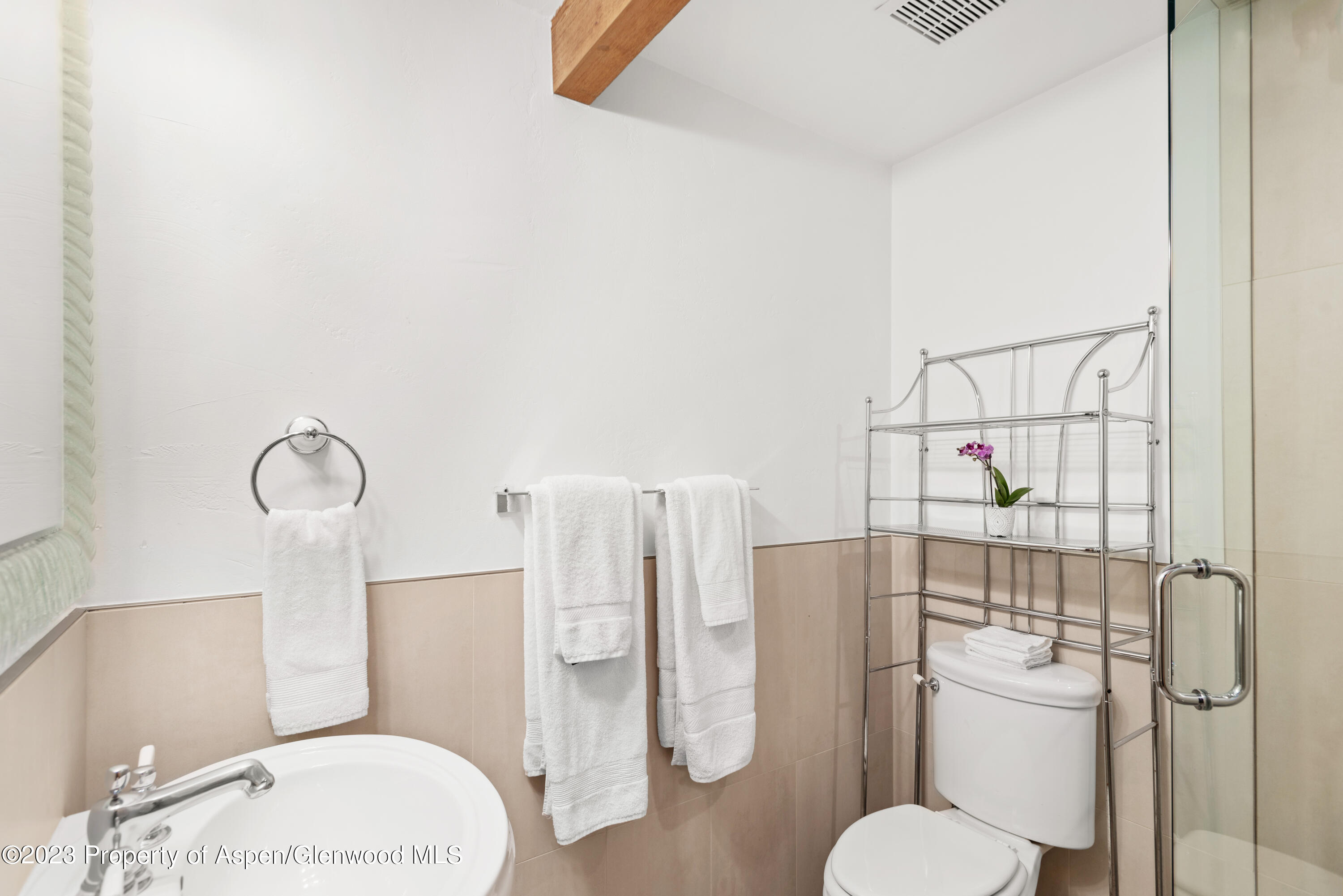 630 E Cooper Aspen CO 81611