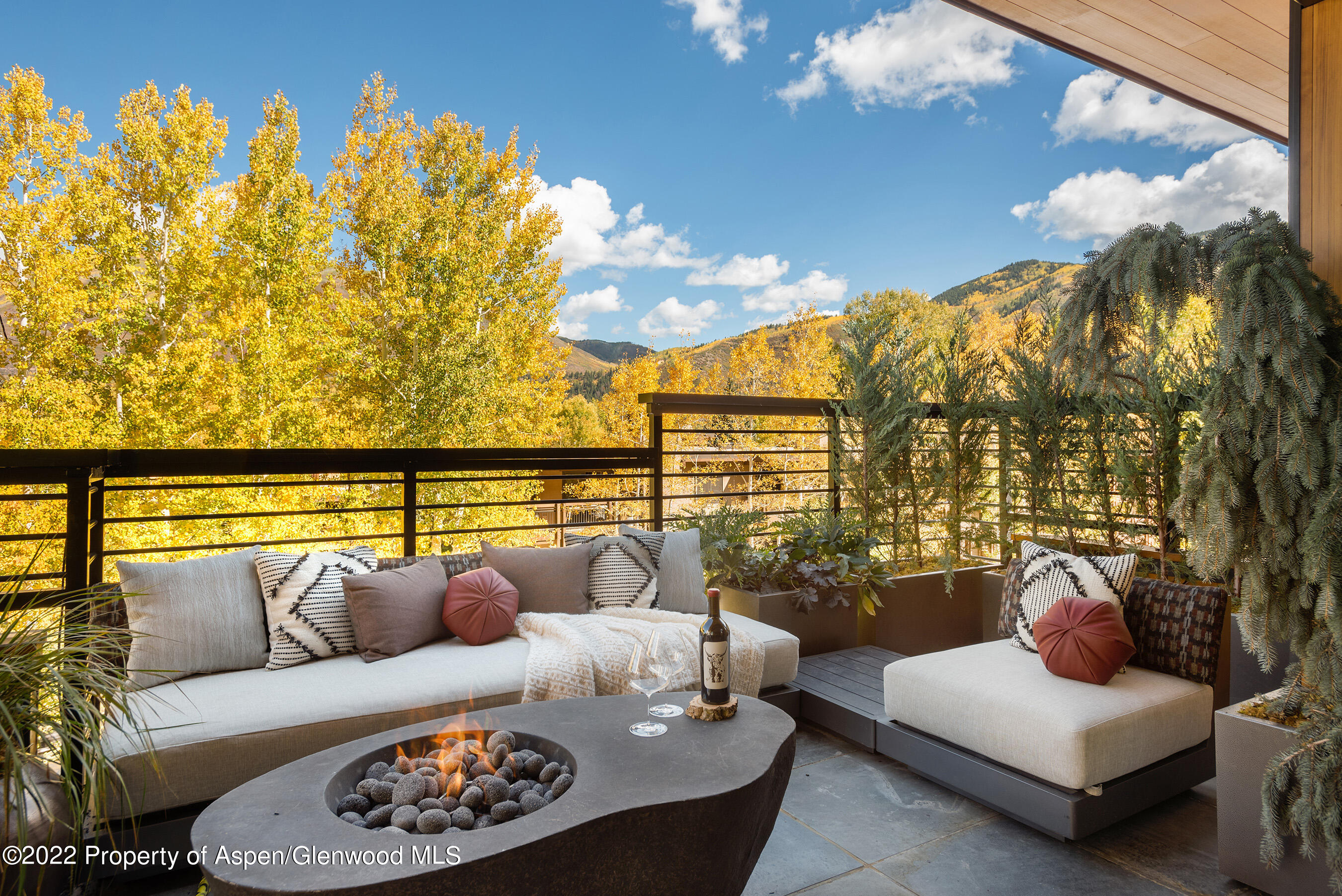 120 Juan Street Aspen CO 81611