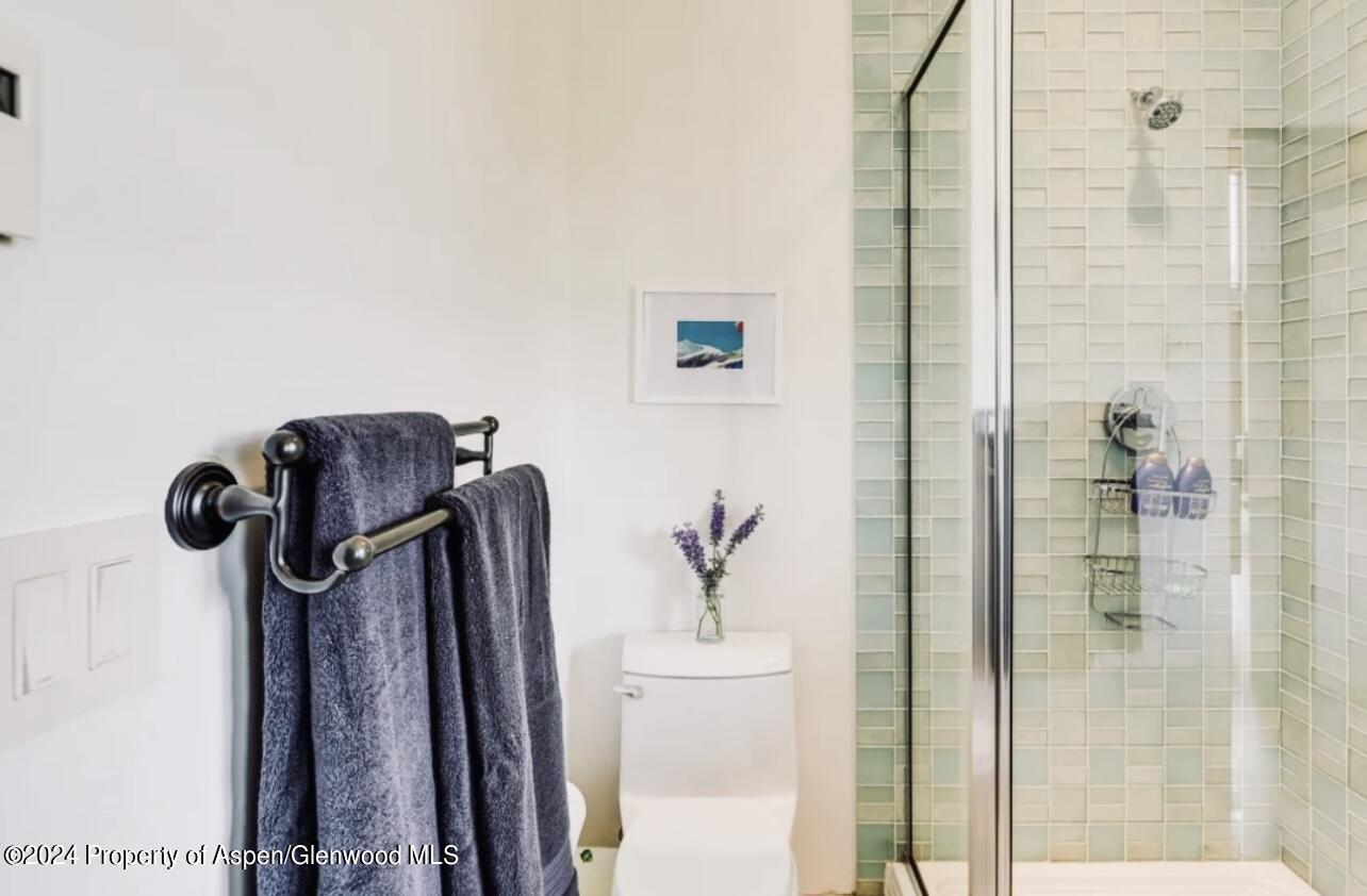 1434 Hooks Spur Road Basalt CO 81621