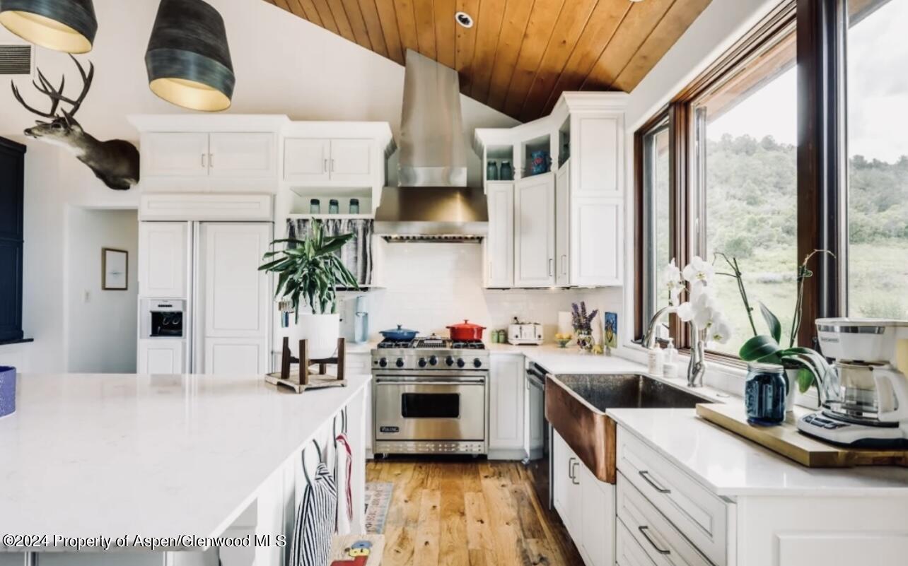 1434 Hooks Spur Road Basalt CO 81621