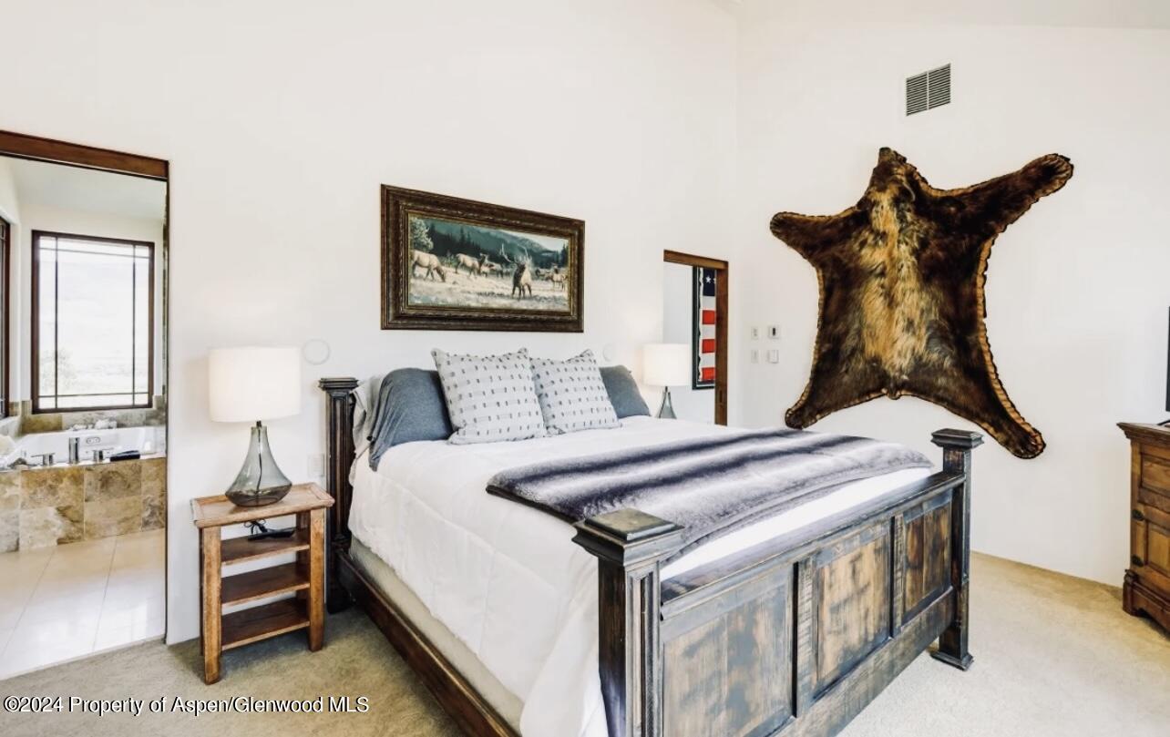 1434 Hooks Spur Road Basalt CO 81621