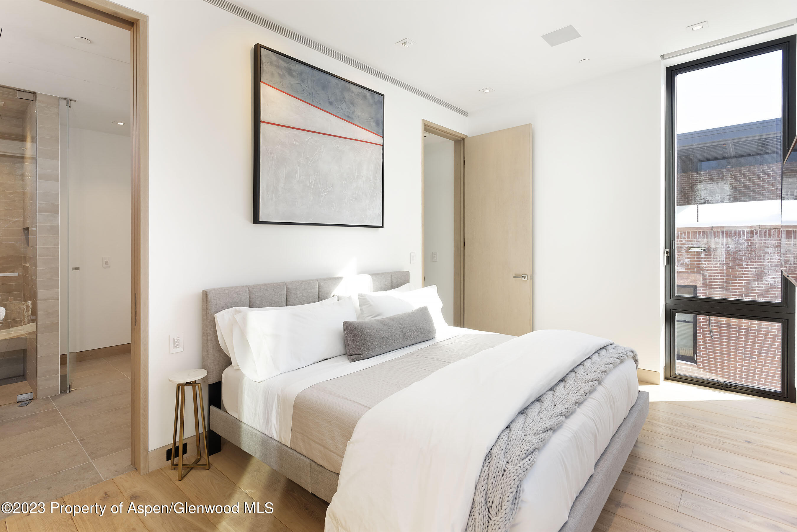 324 E Bleeker Street Aspen CO 81611