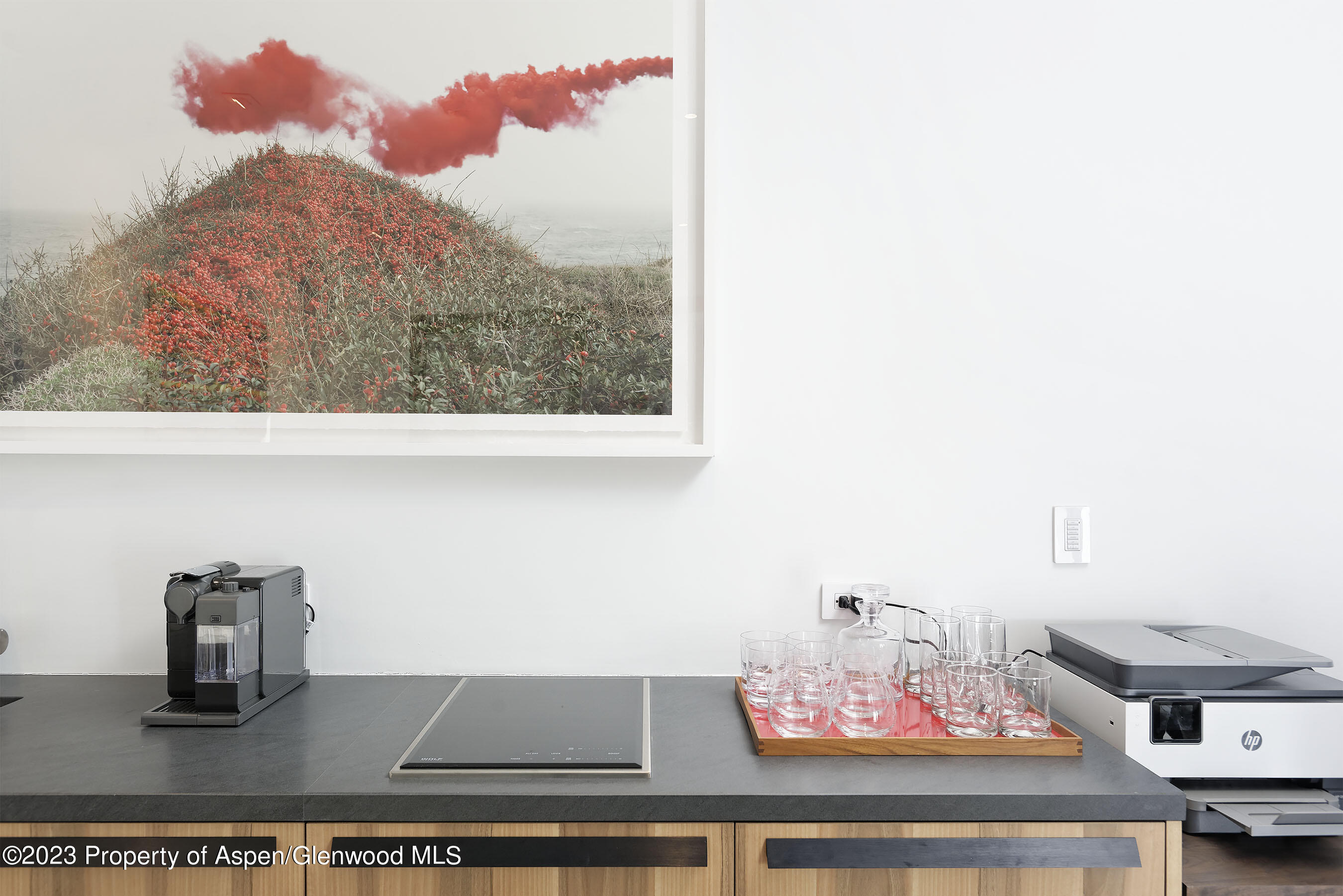 324 E Bleeker Street Aspen CO 81611