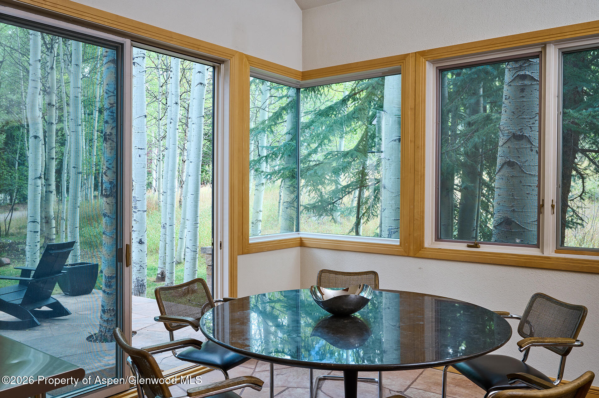 405 Glen Eagles Road Aspen CO 81611