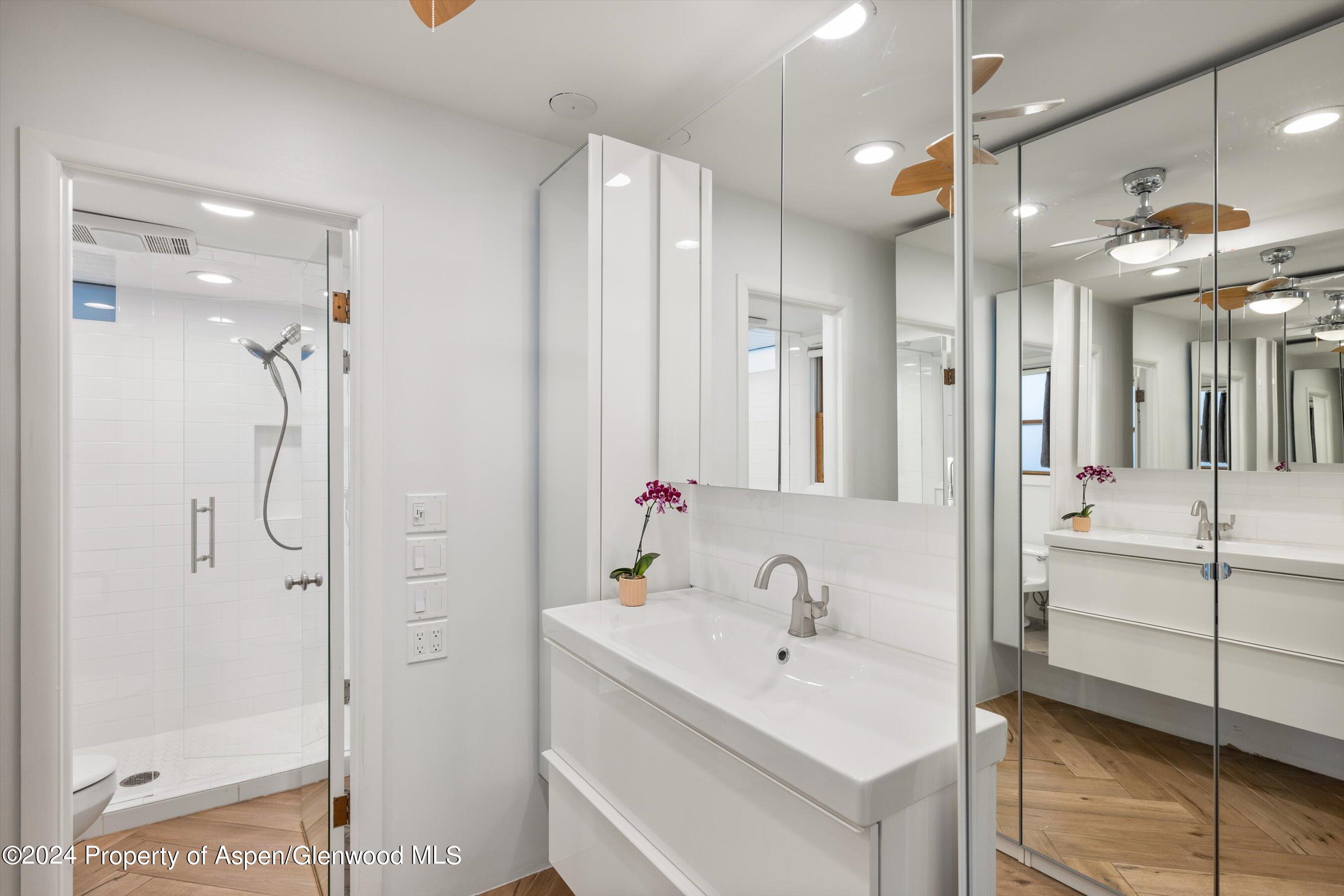 819 E Hyman Avenue Aspen CO 81611