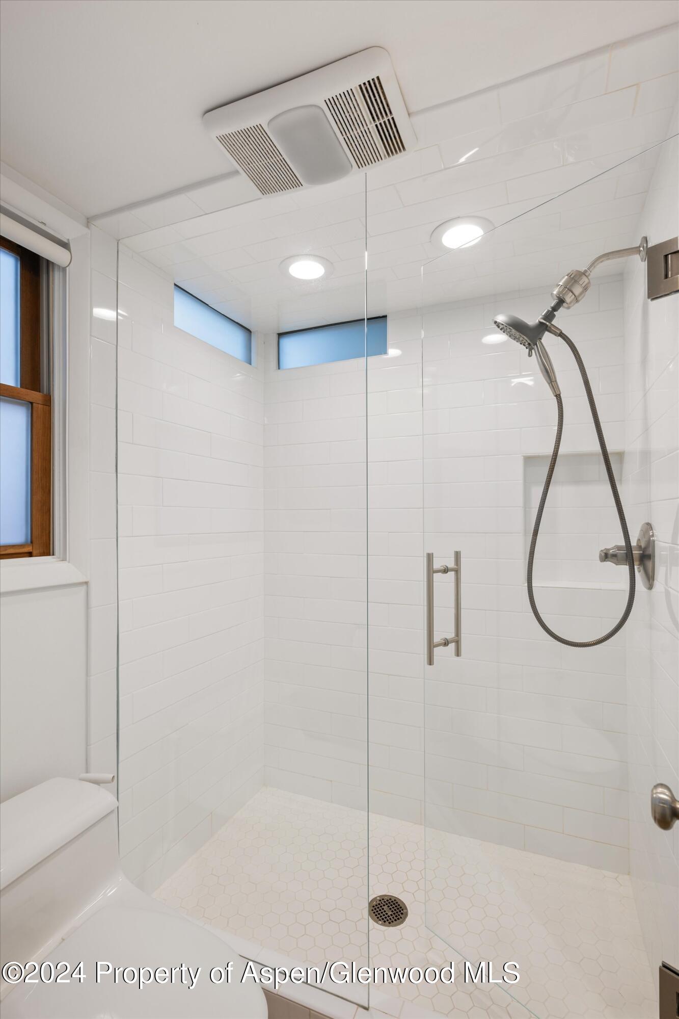 819 E Hyman Avenue Aspen CO 81611