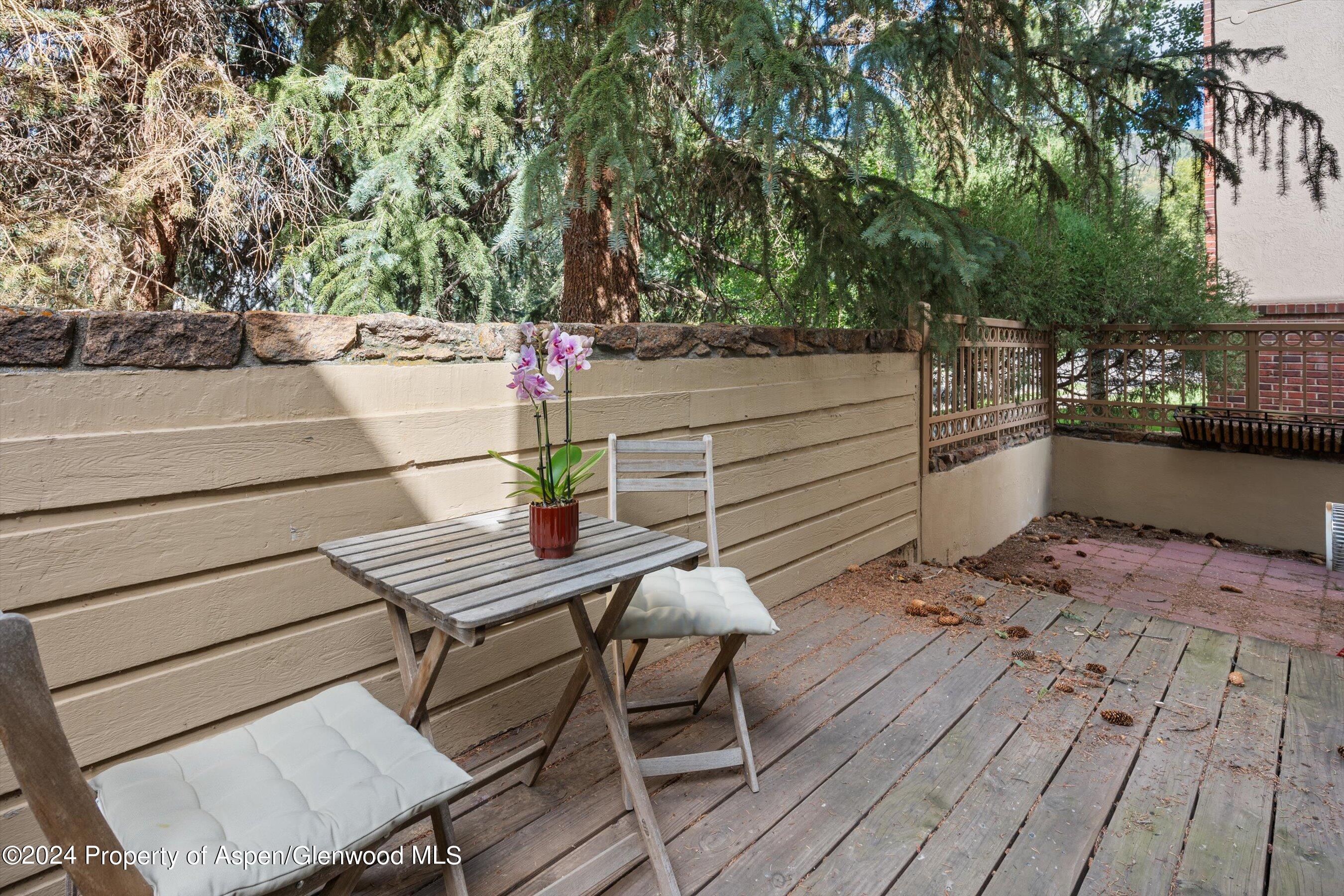 819 E Hyman Avenue Aspen CO 81611