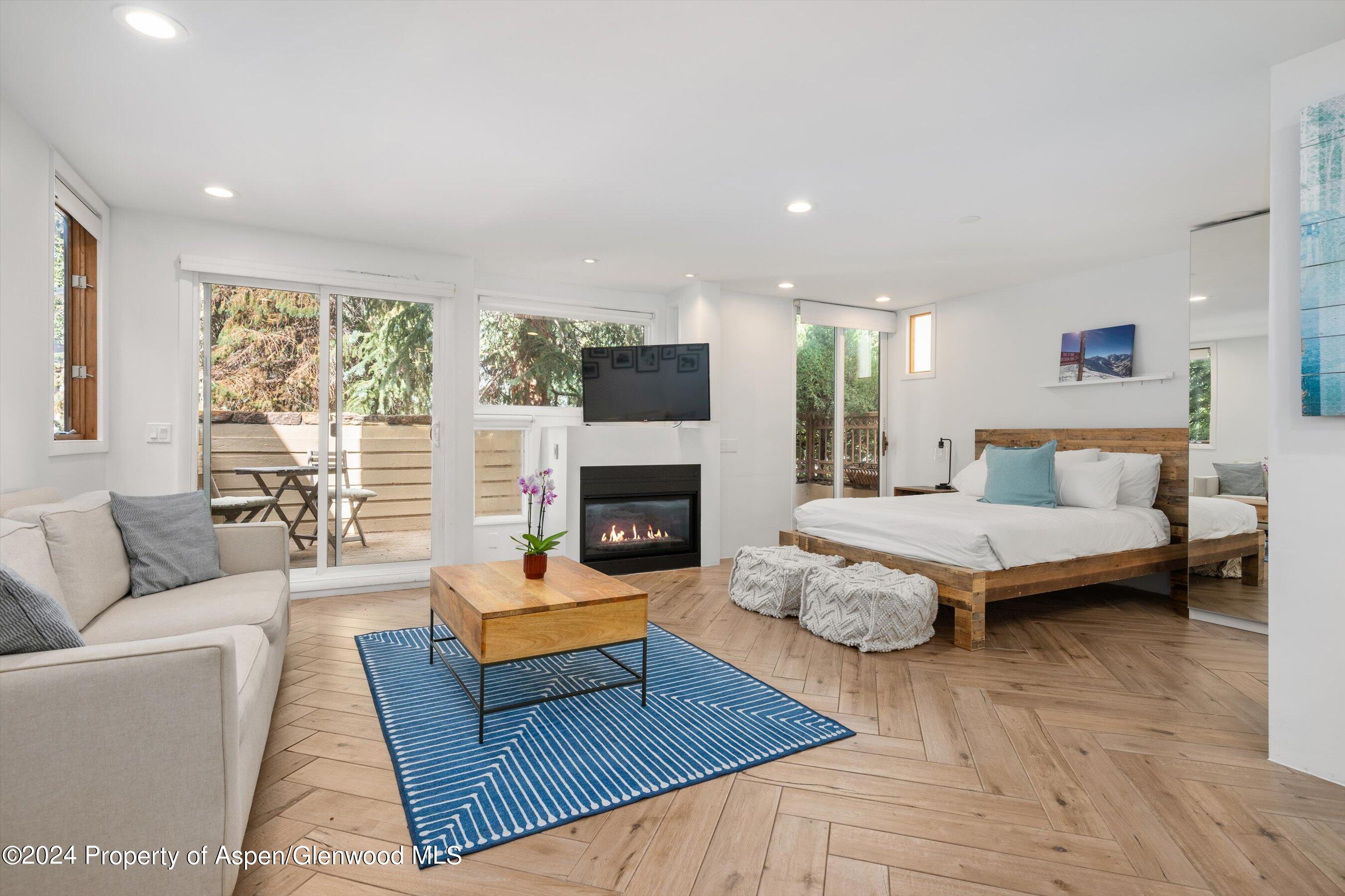 819 E Hyman Avenue Aspen CO 81611