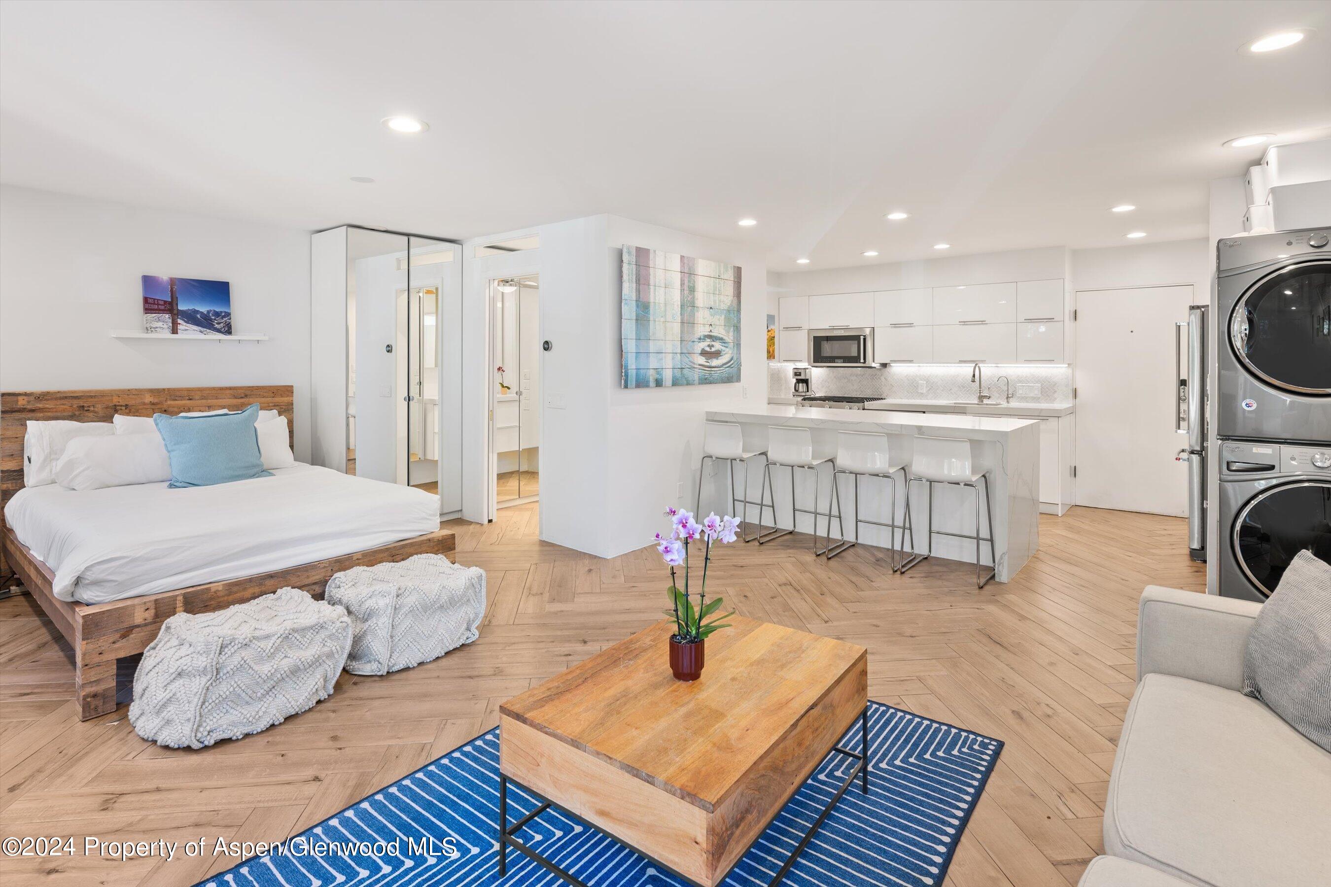 819 E Hyman Avenue Aspen CO 81611