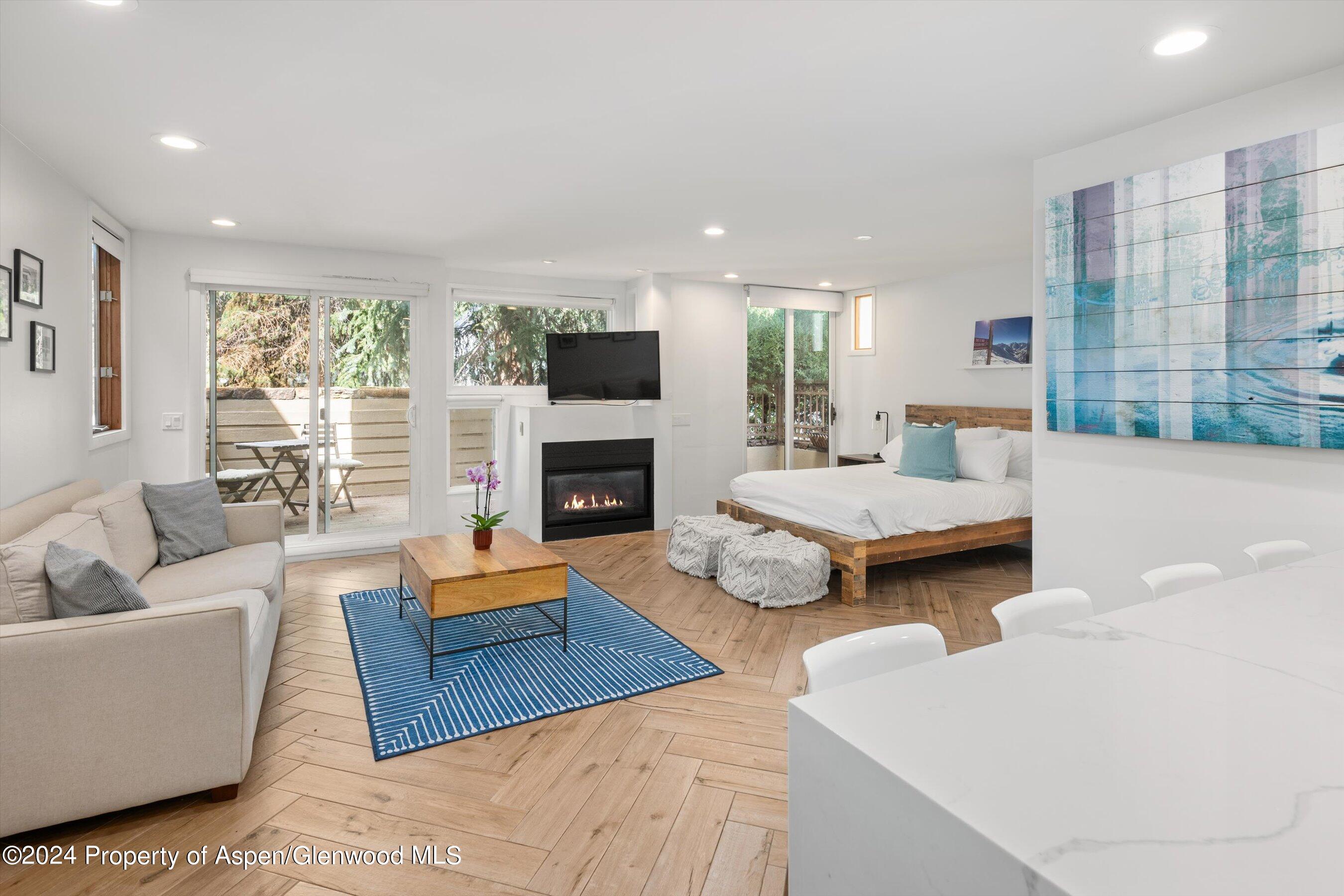 819 E Hyman Avenue Aspen CO 81611