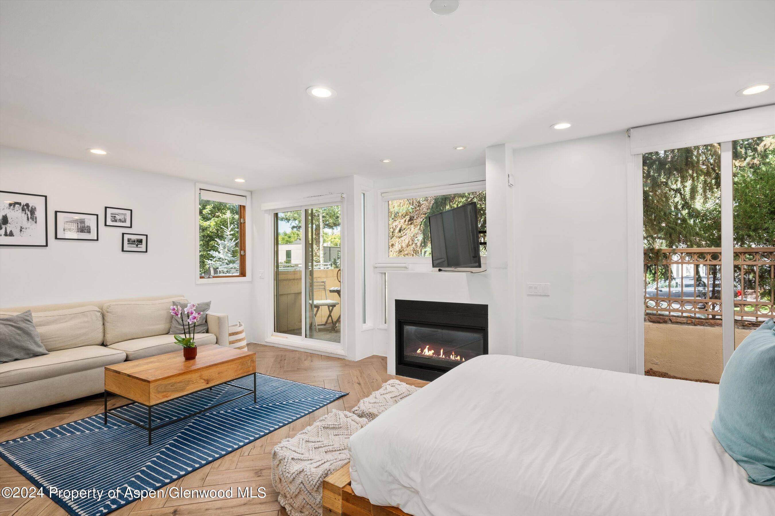 819 E Hyman Avenue Aspen CO 81611