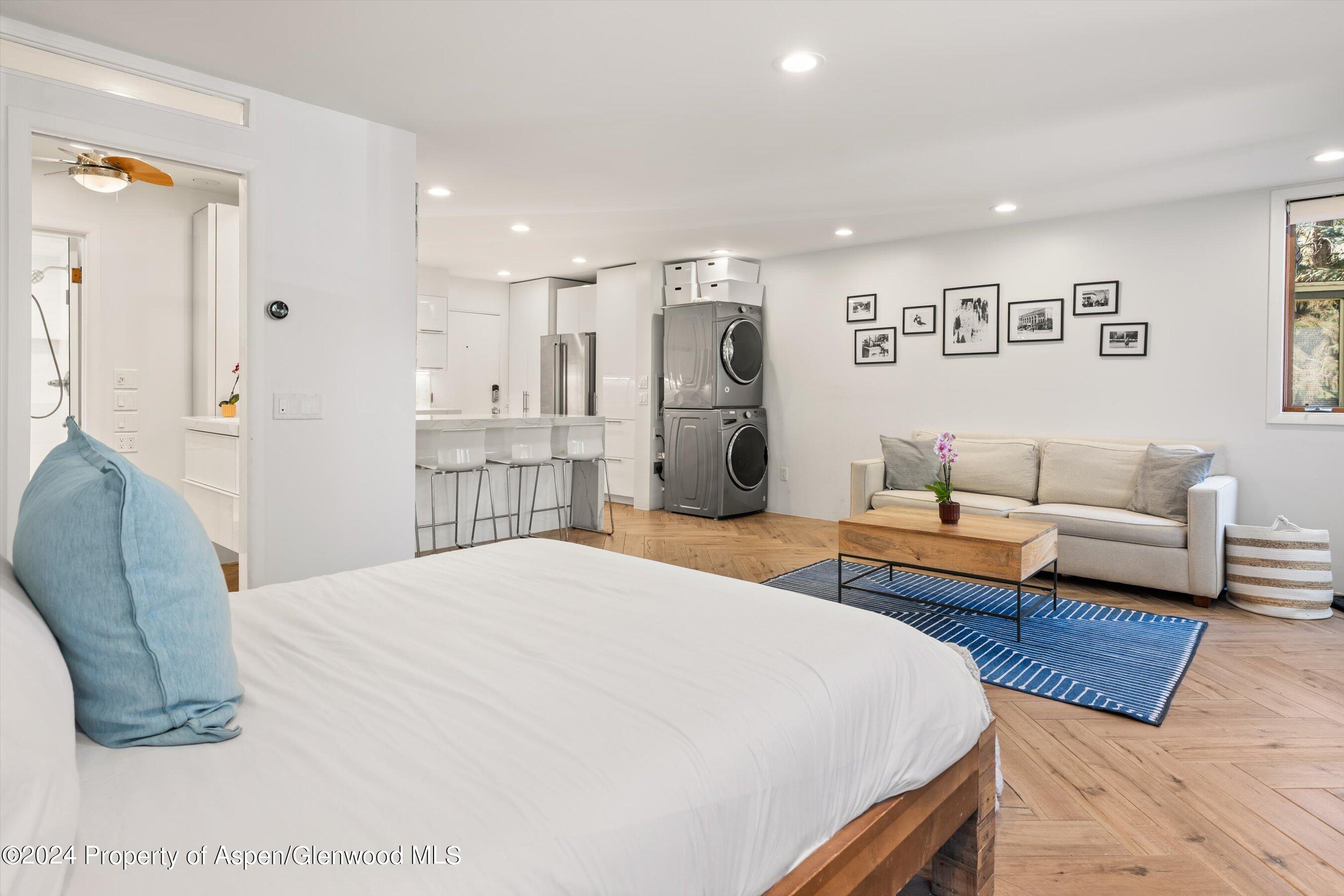 819 E Hyman Avenue Aspen CO 81611