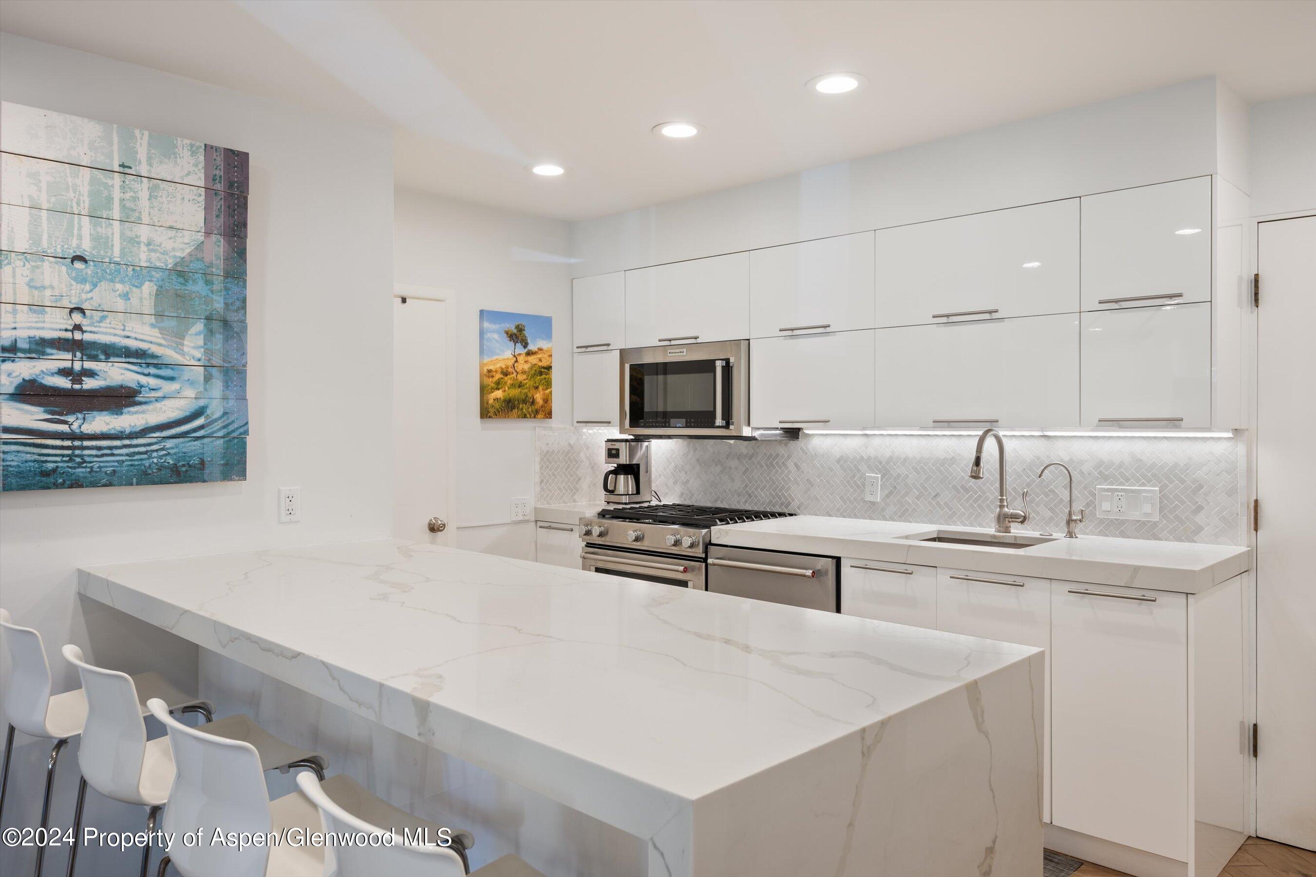 819 E Hyman Avenue Aspen CO 81611