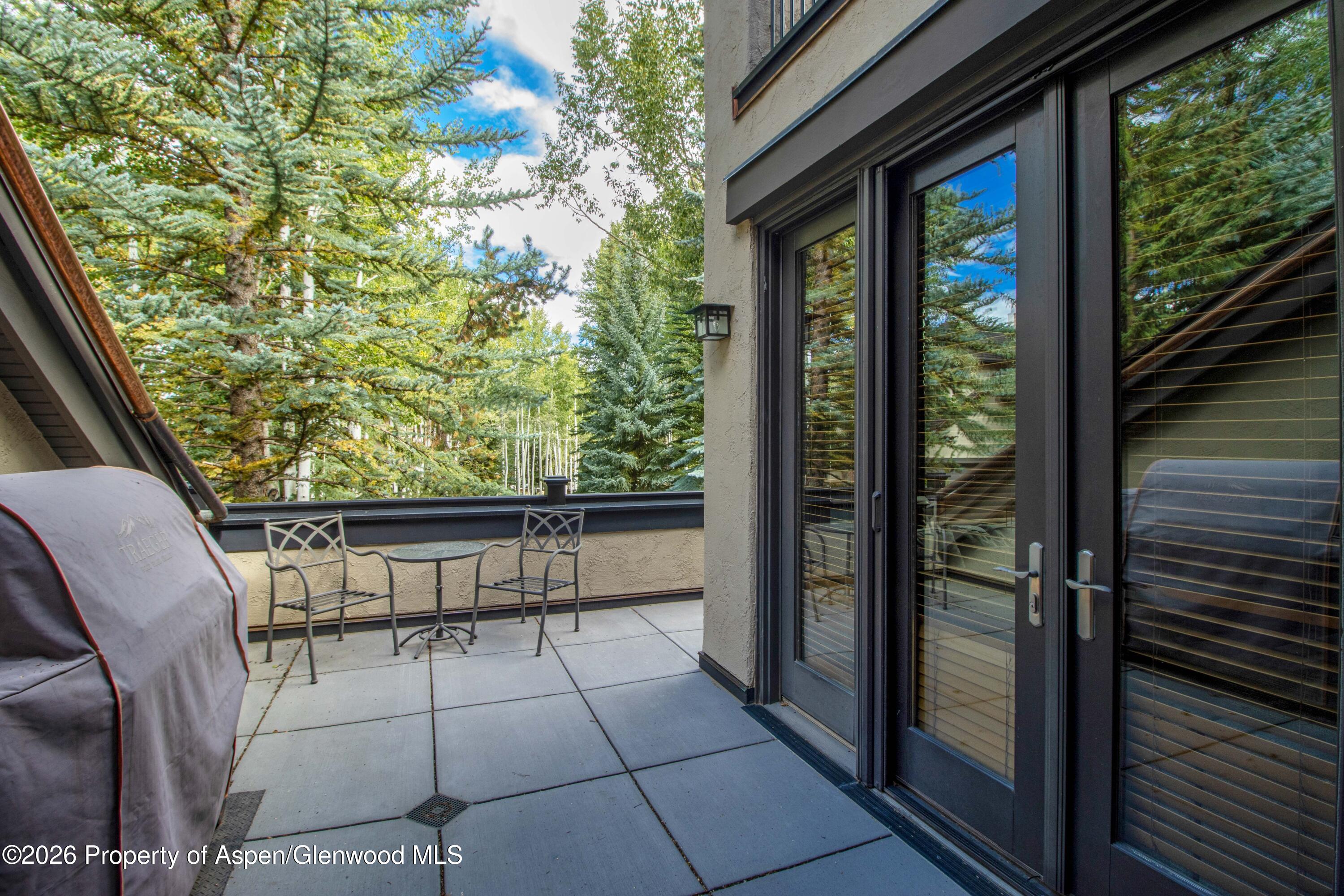 916 Burnt Mountain Drive Snowmass Village CO 81615