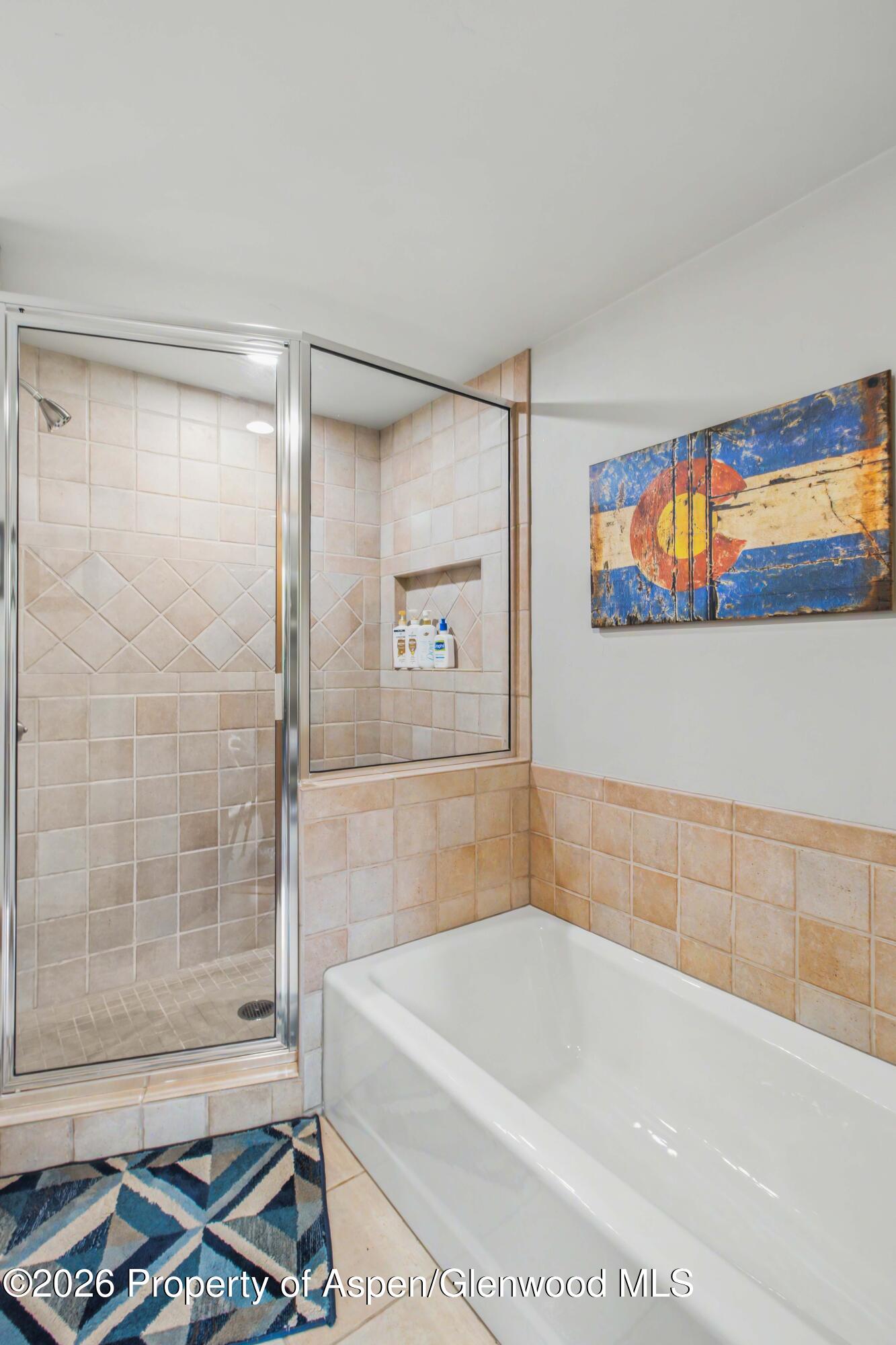 916 Burnt Mountain Drive Snowmass Village CO 81615