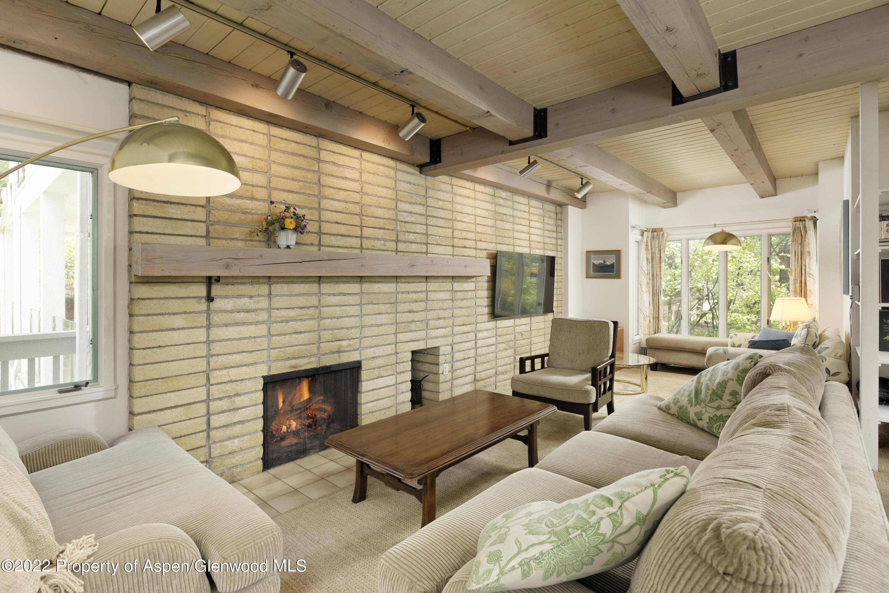 521 N Seventh Street Aspen CO 81611