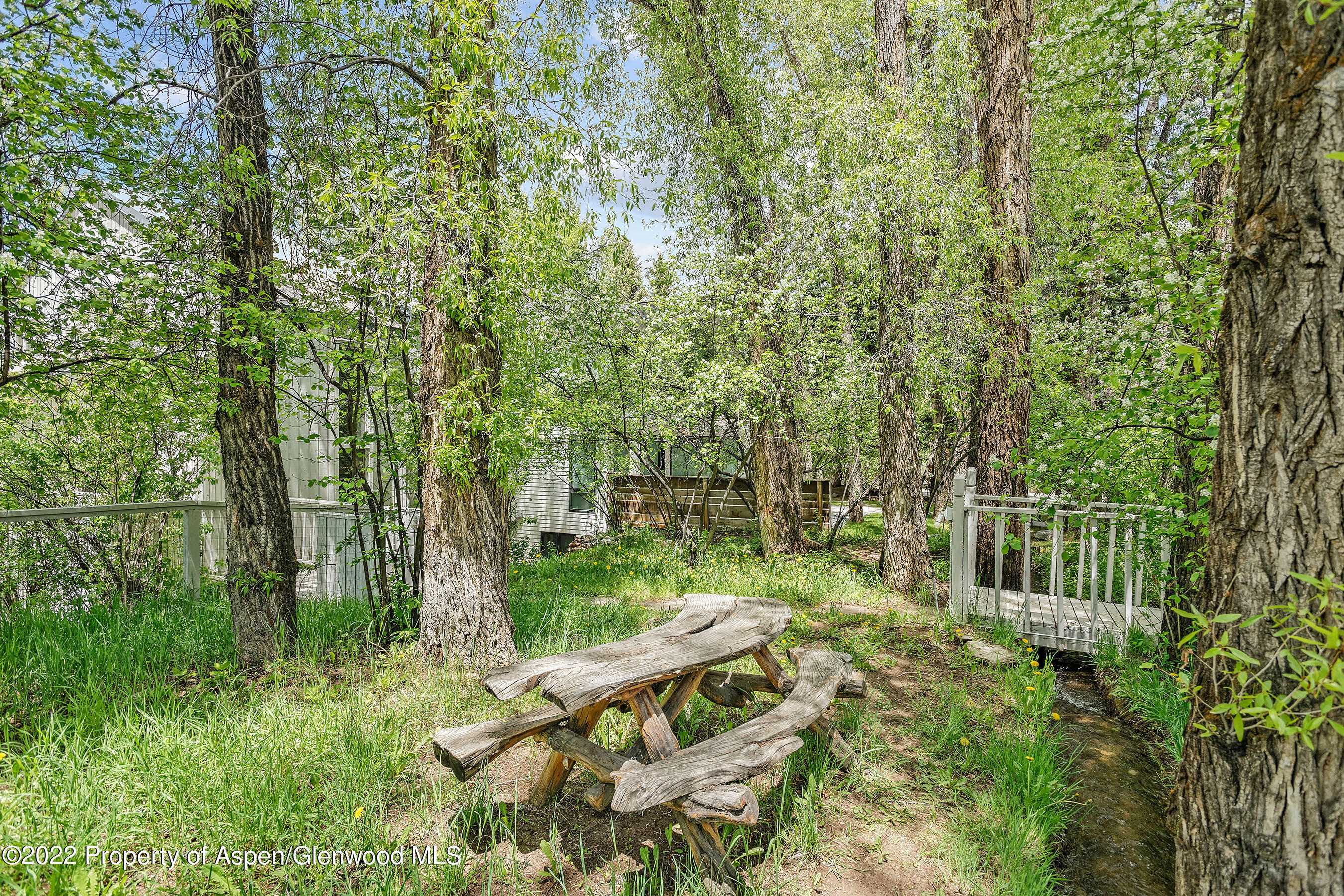 521 N Seventh Street Aspen CO 81611