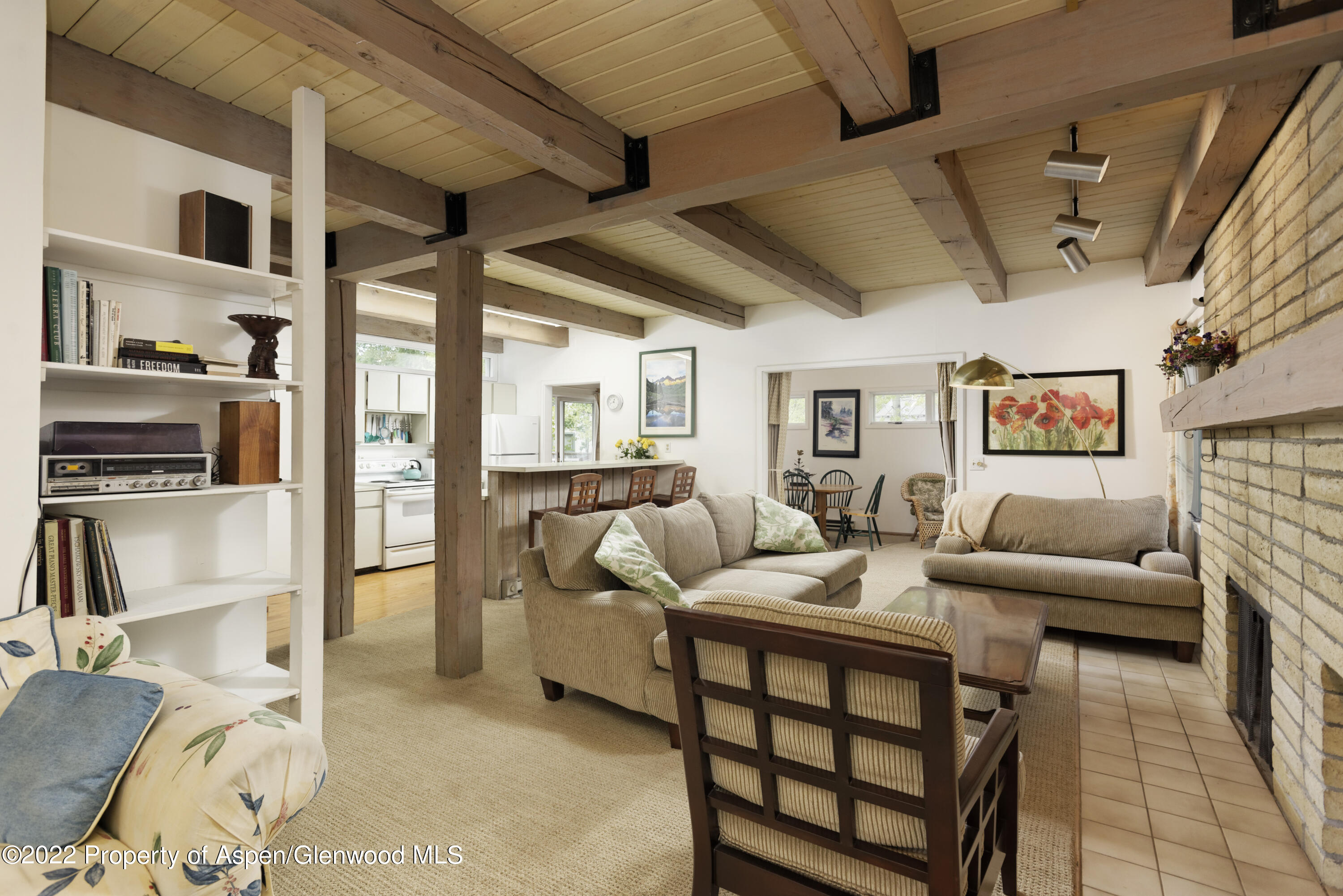 521 N Seventh Street Aspen CO 81611