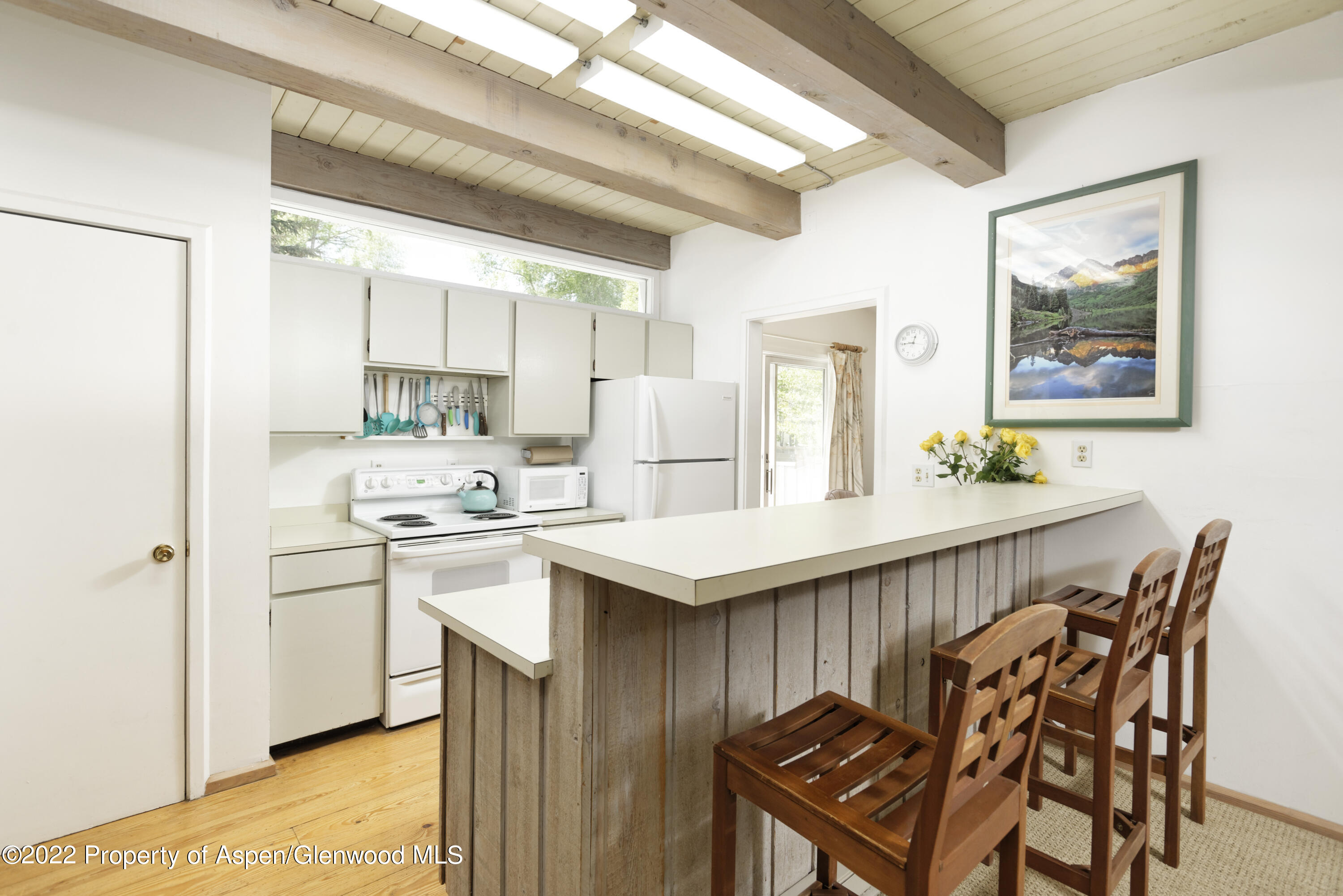 521 N Seventh Street Aspen CO 81611