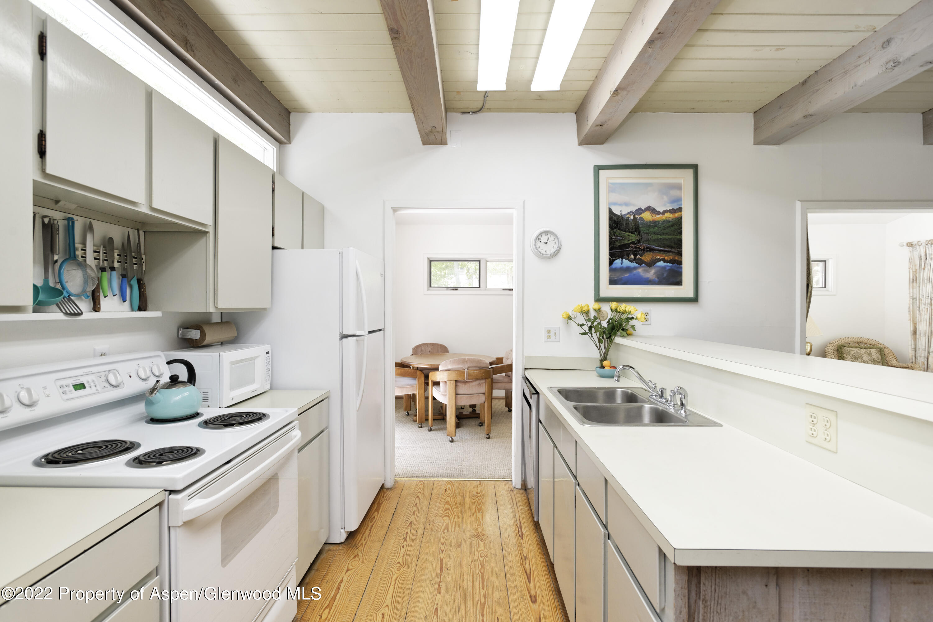 521 N Seventh Street Aspen CO 81611