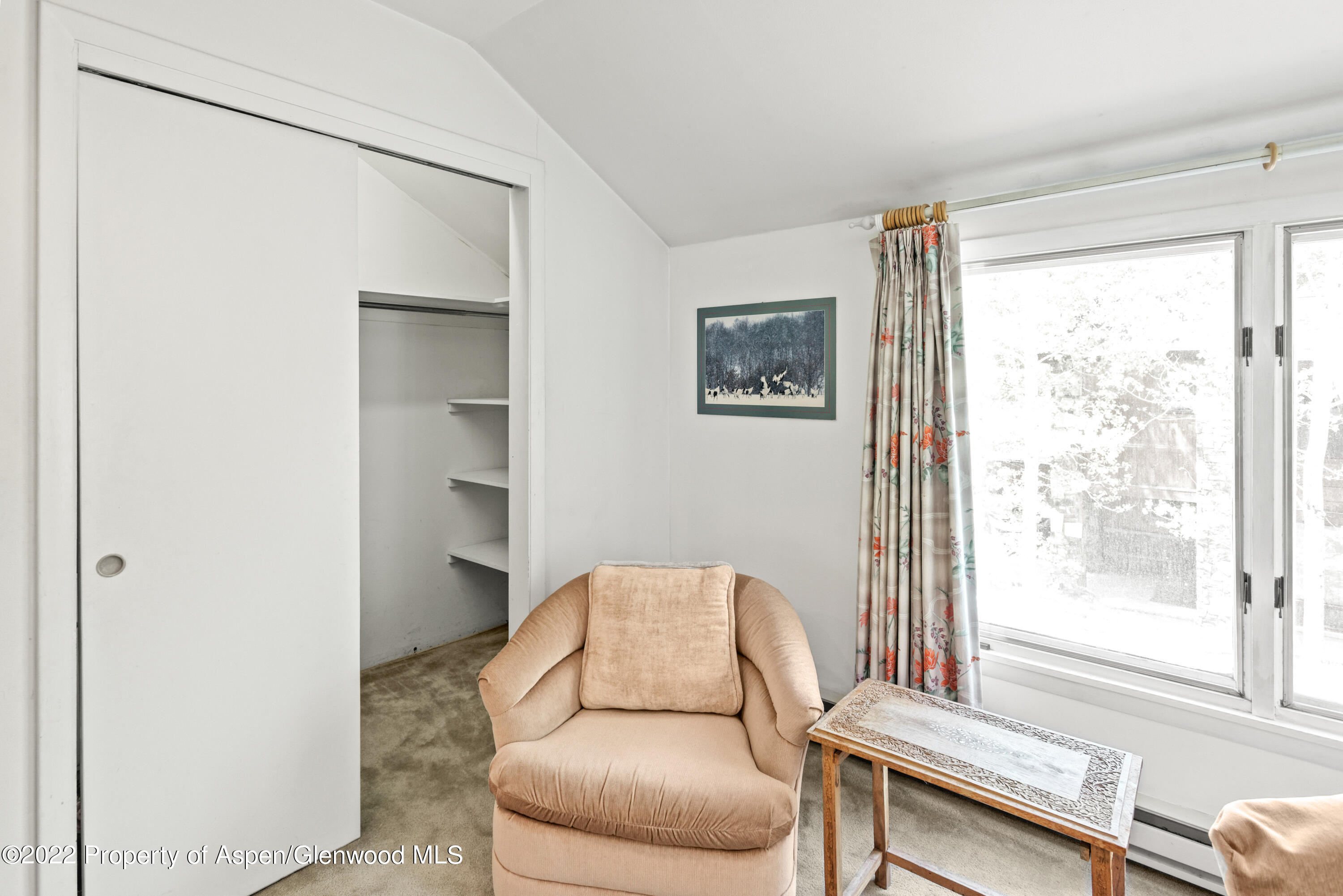 521 N Seventh Street Aspen CO 81611