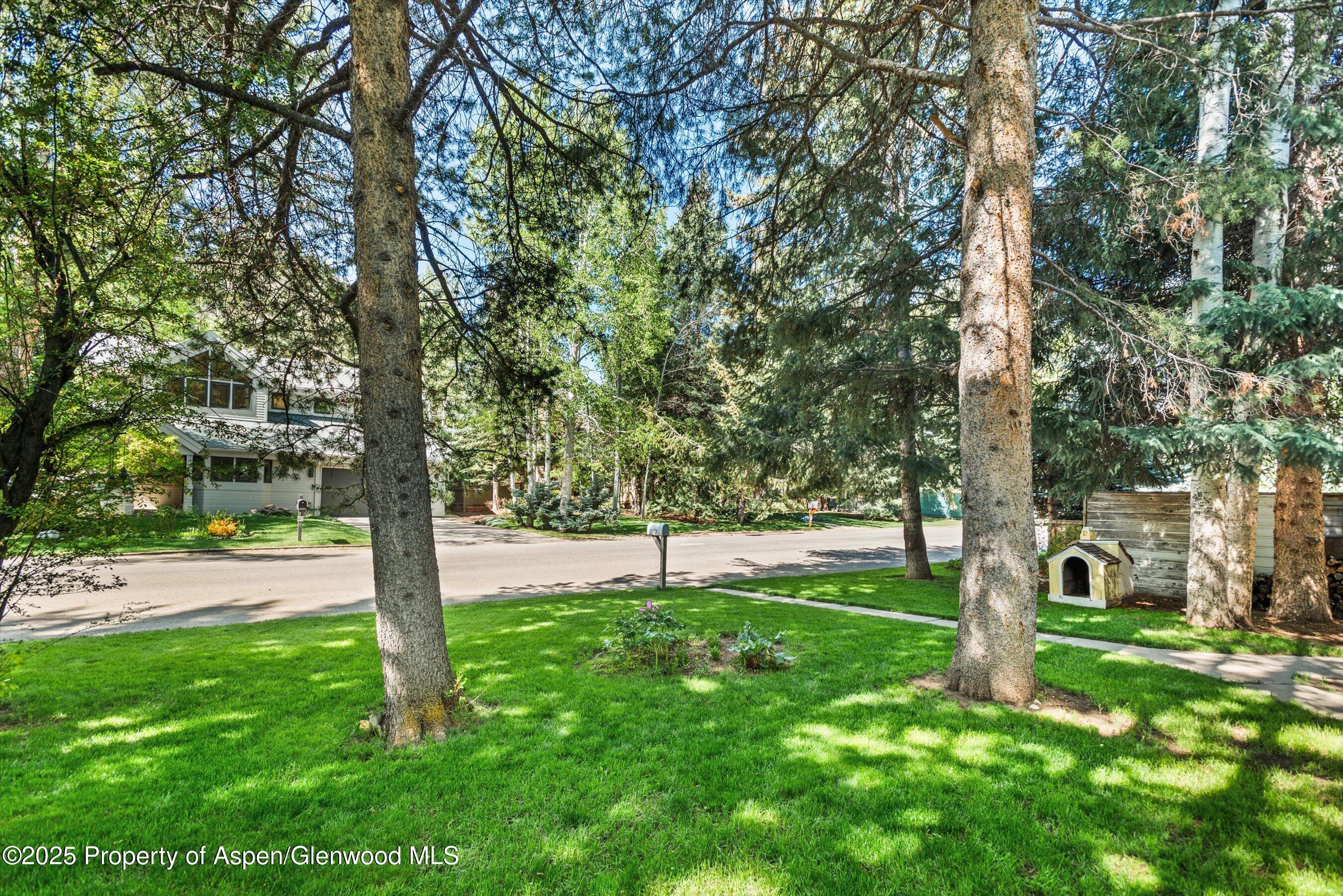 406 W Smuggler Street Aspen CO 81611
