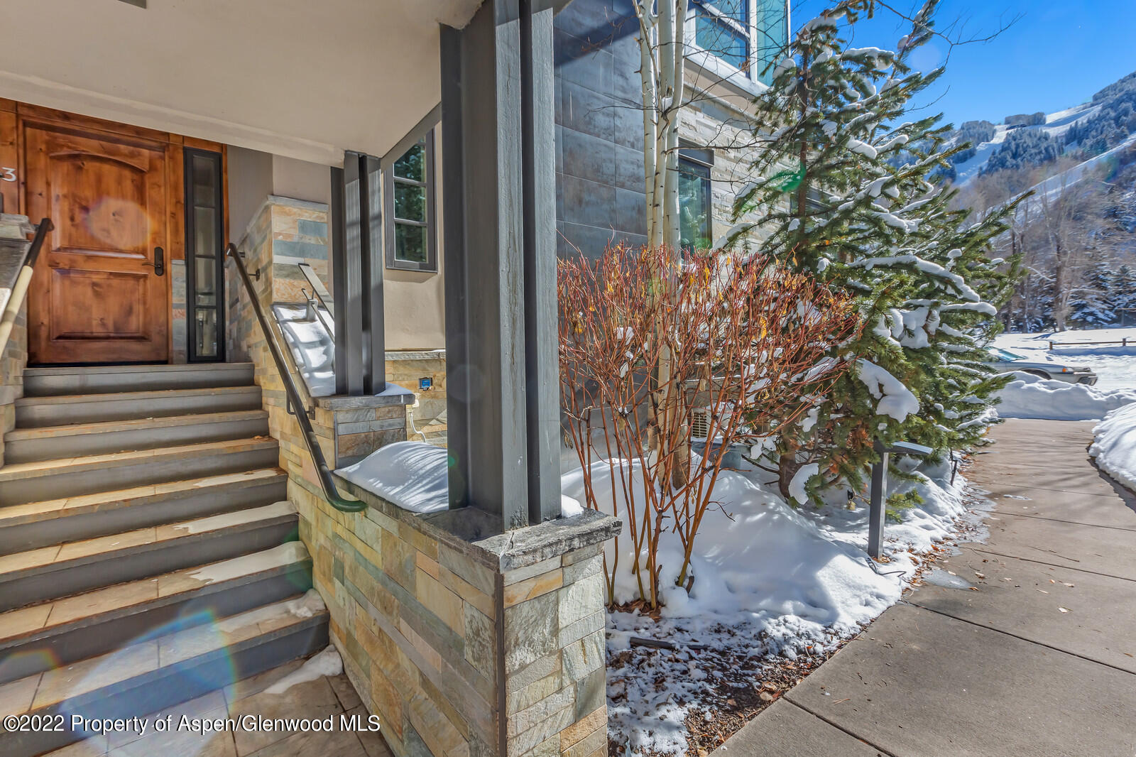 104 W Cooper Avenue Aspen CO 81611