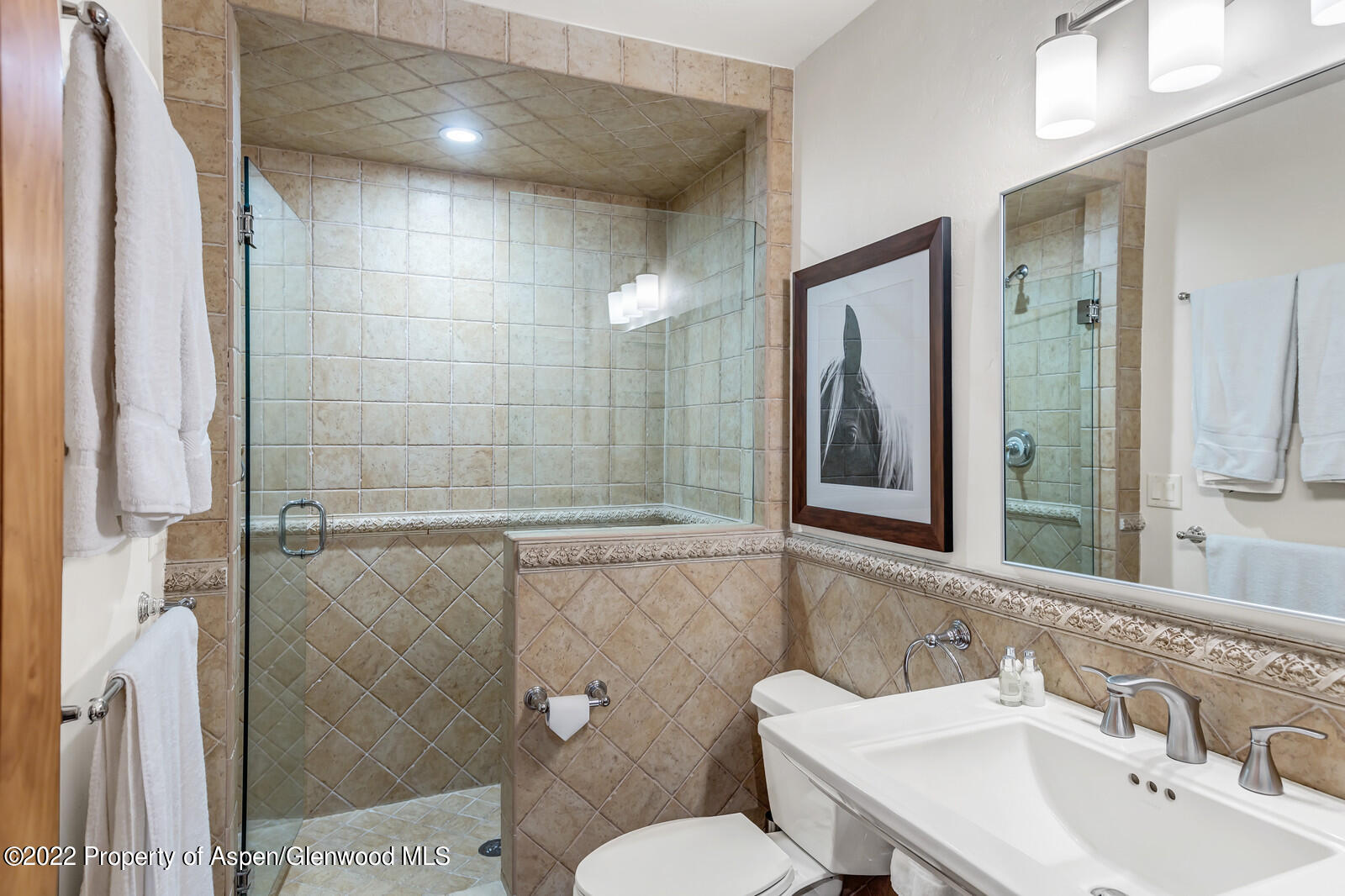 104 W Cooper Avenue Aspen CO 81611